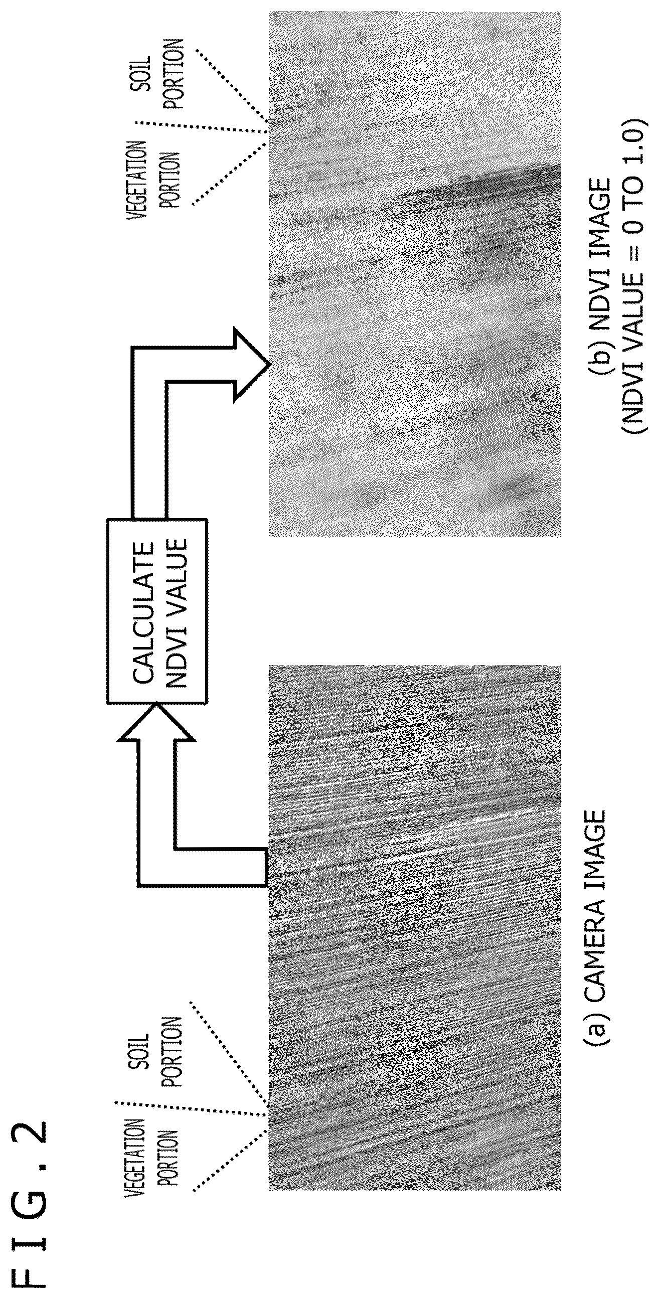 Patent US12367671 Figure 2 – Image processing device and image processing method for determining activity of a plant based on a camera image