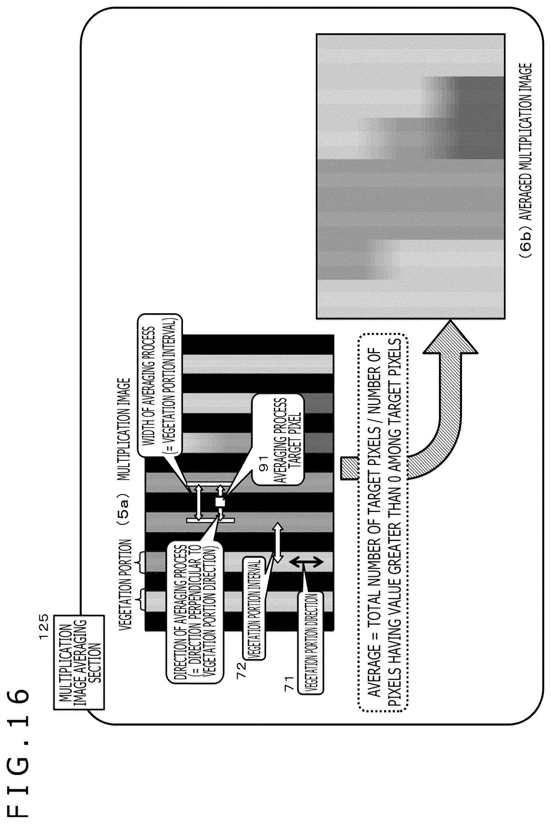 Patent US12367671 Figure 16 – Image processing device and image processing method for determining activity of a plant based on a camera image