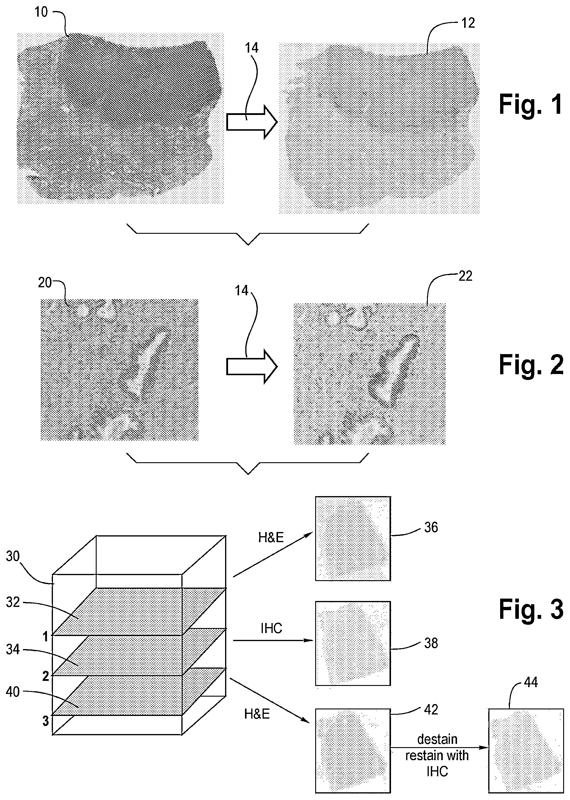 Patent US12367691 Figure 1 – Virtual staining for tissue slide images