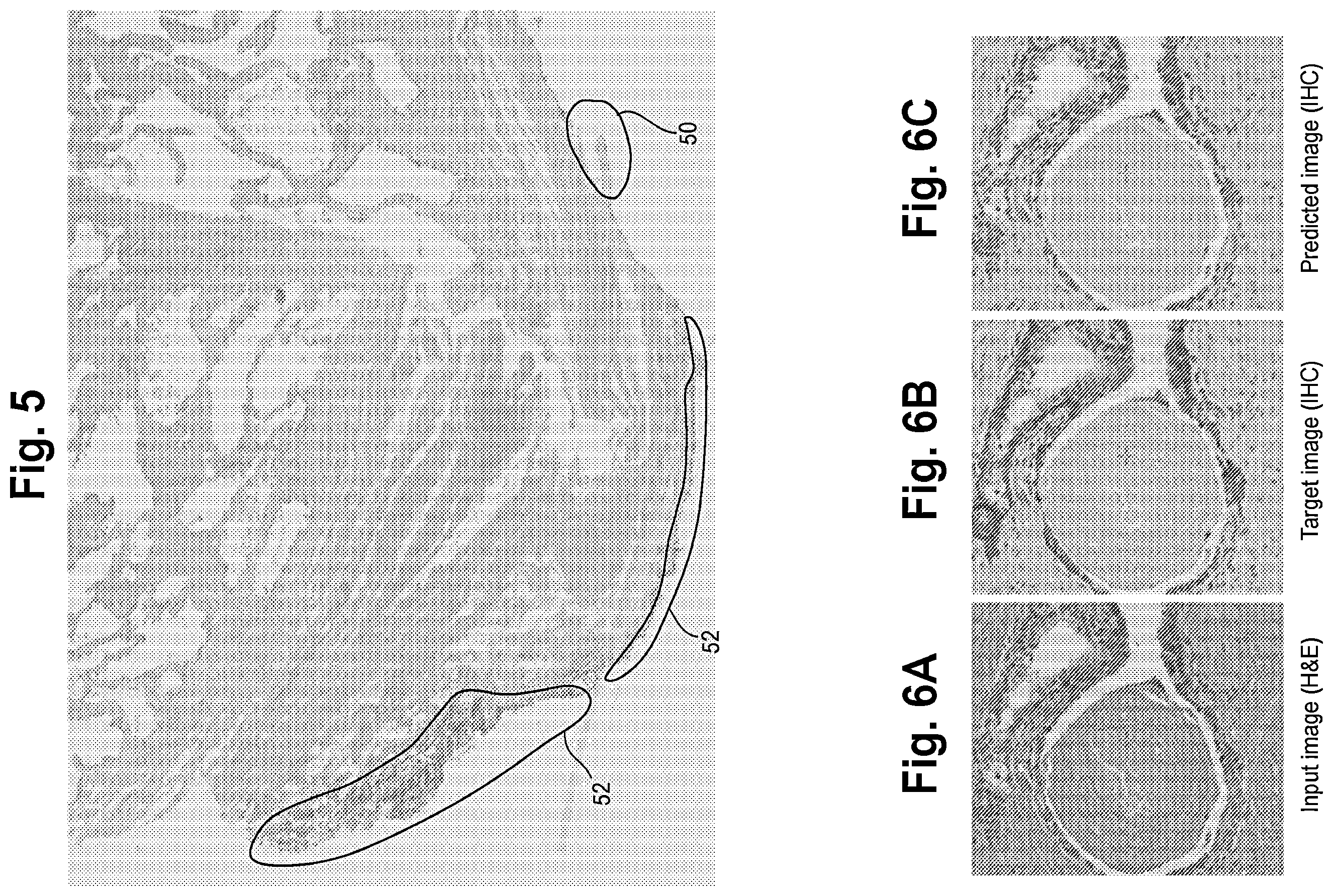 Patent US12367691 Figure 3 – Virtual staining for tissue slide images