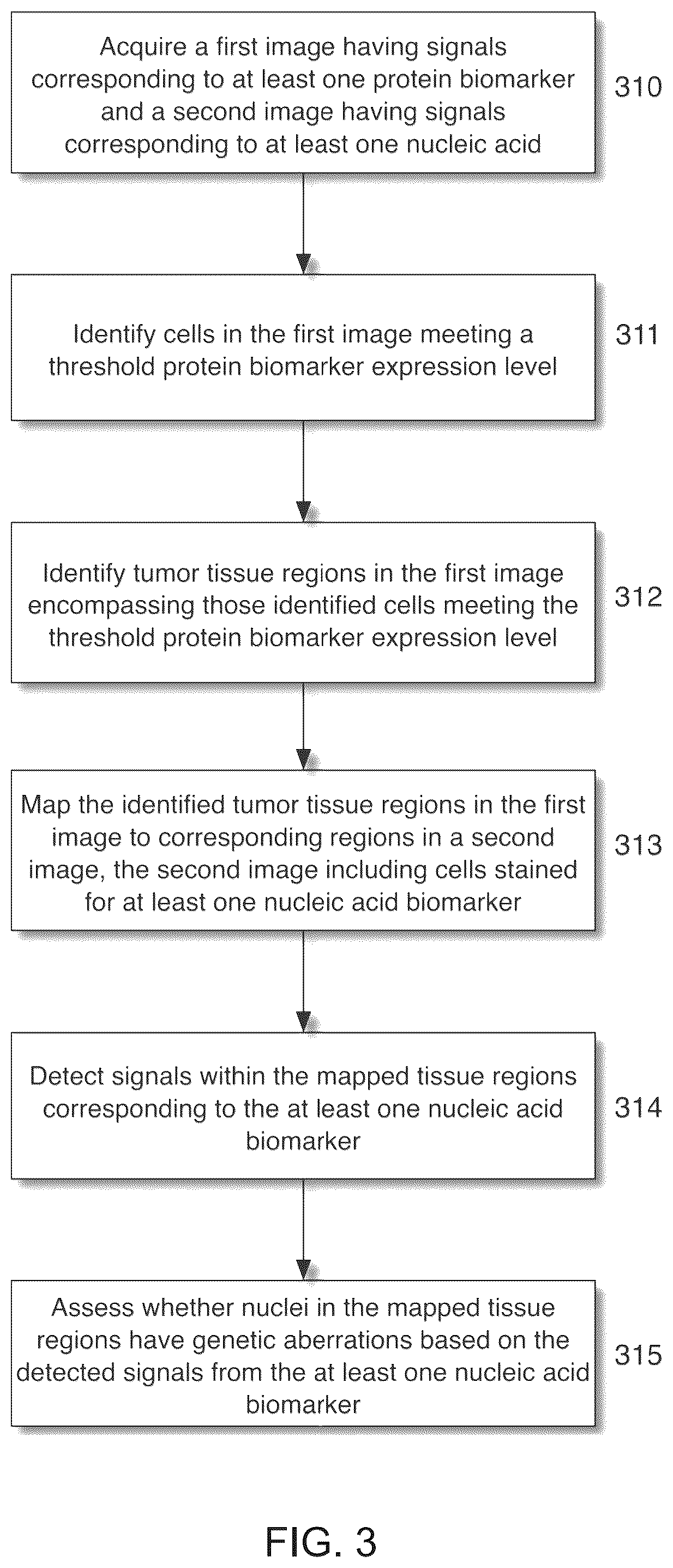 Patent US12367692 Figure 3 – Systems for automated in situ hybridization analysis