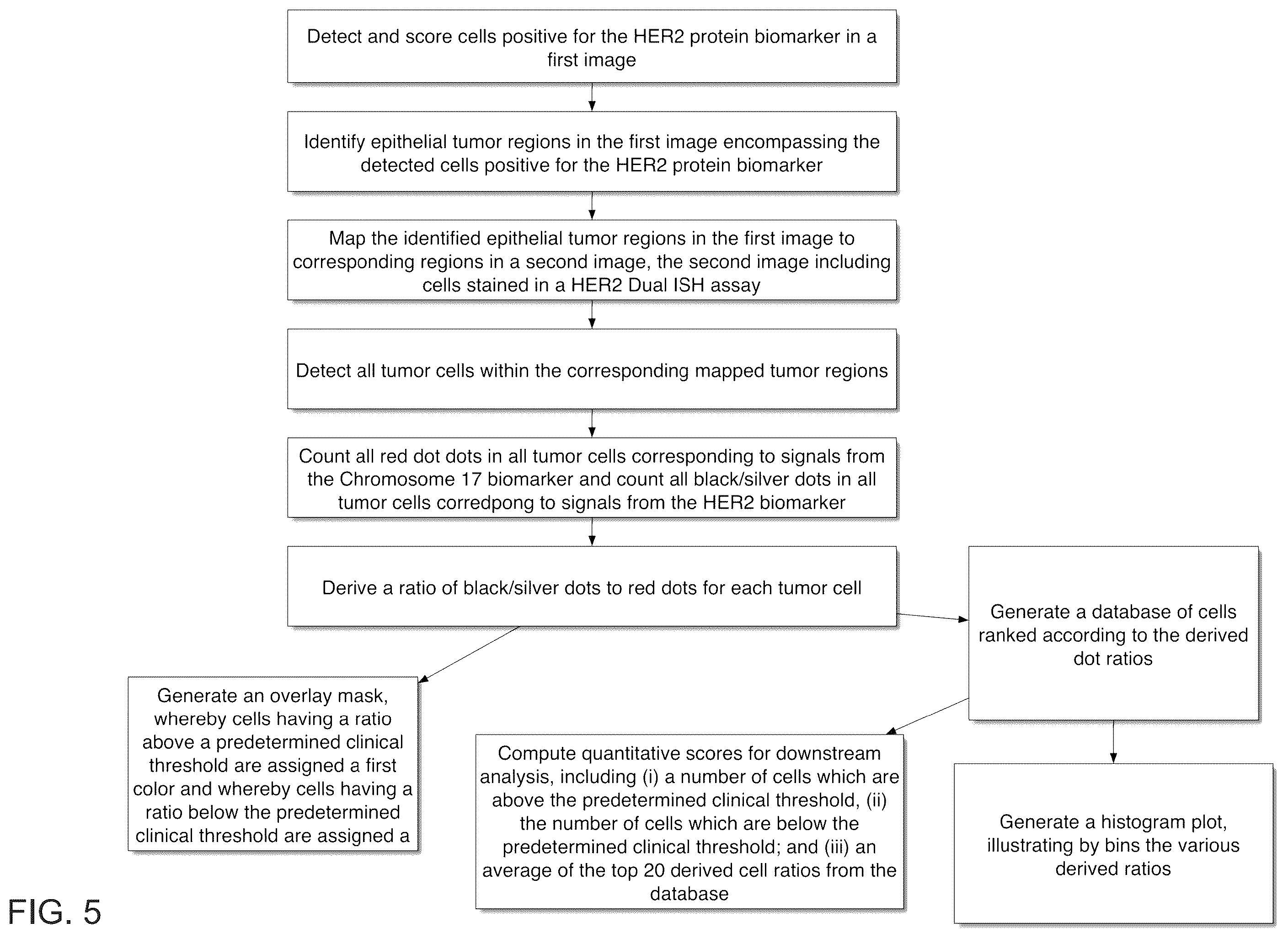 Patent US12367692 Figure 5 – Systems for automated in situ hybridization analysis