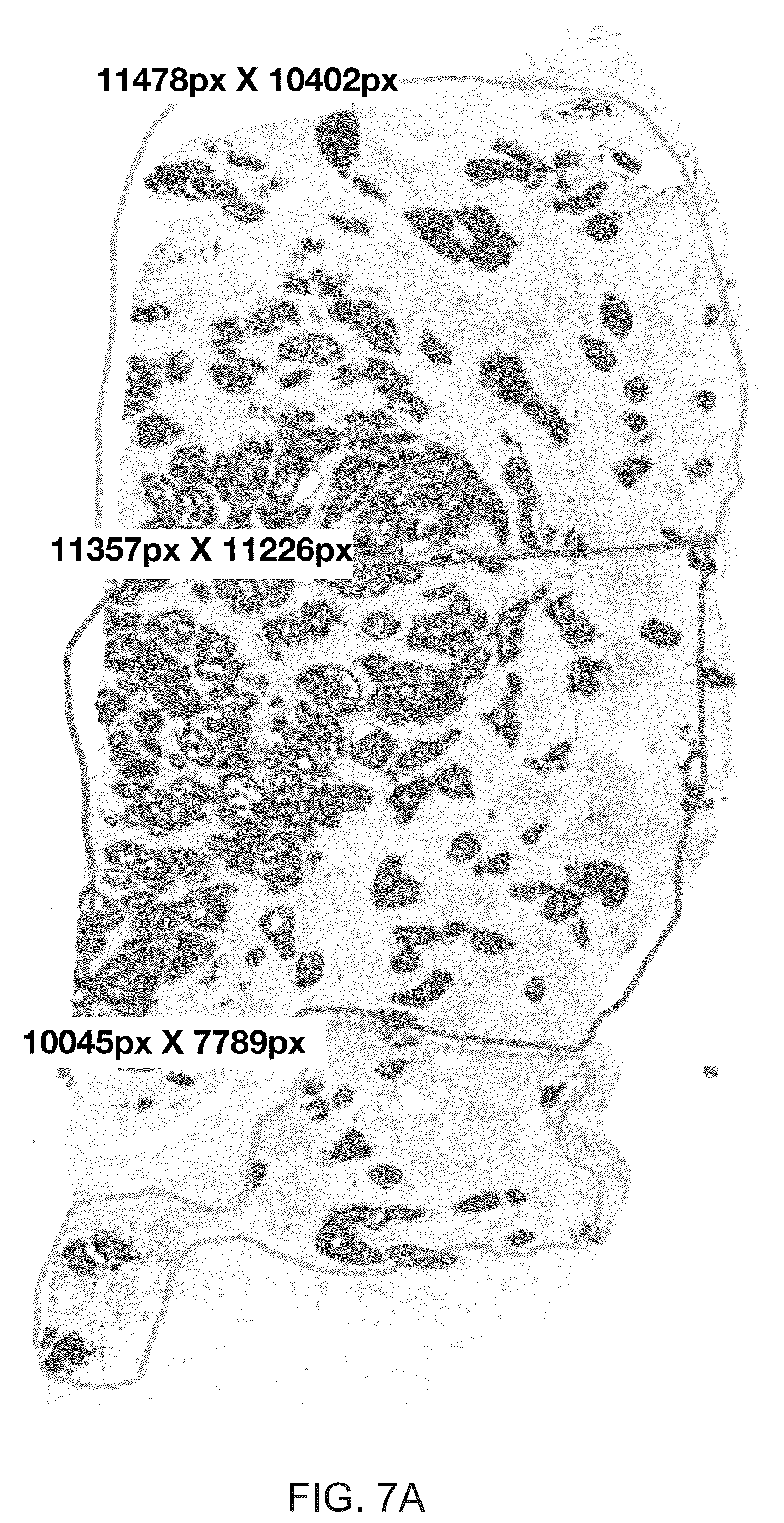 Patent US12367692 Figure 7 – Systems for automated in situ hybridization analysis