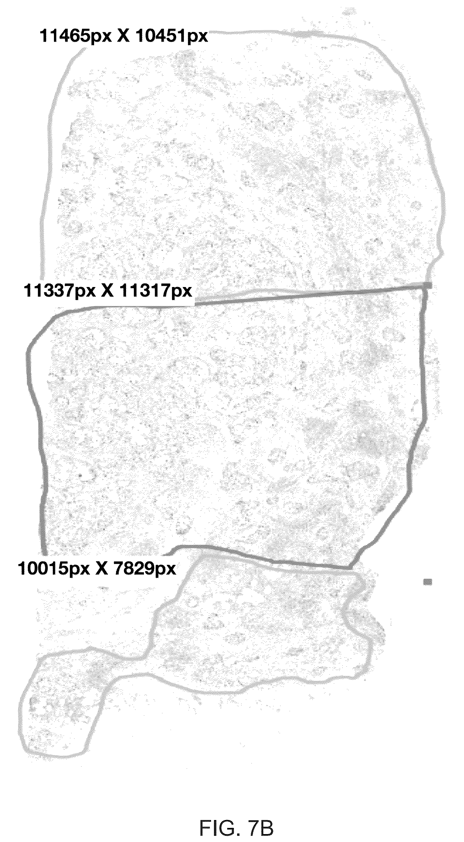 Patent US12367692 Figure 8 – Systems for automated in situ hybridization analysis