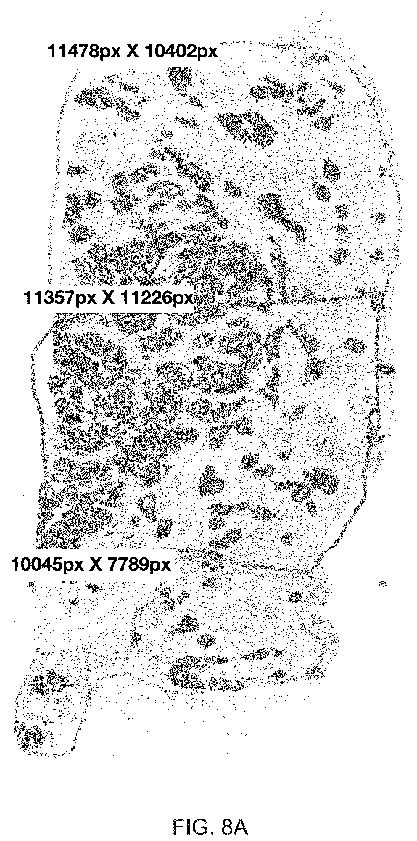 Patent US12367692 Figure 9 – Systems for automated in situ hybridization analysis