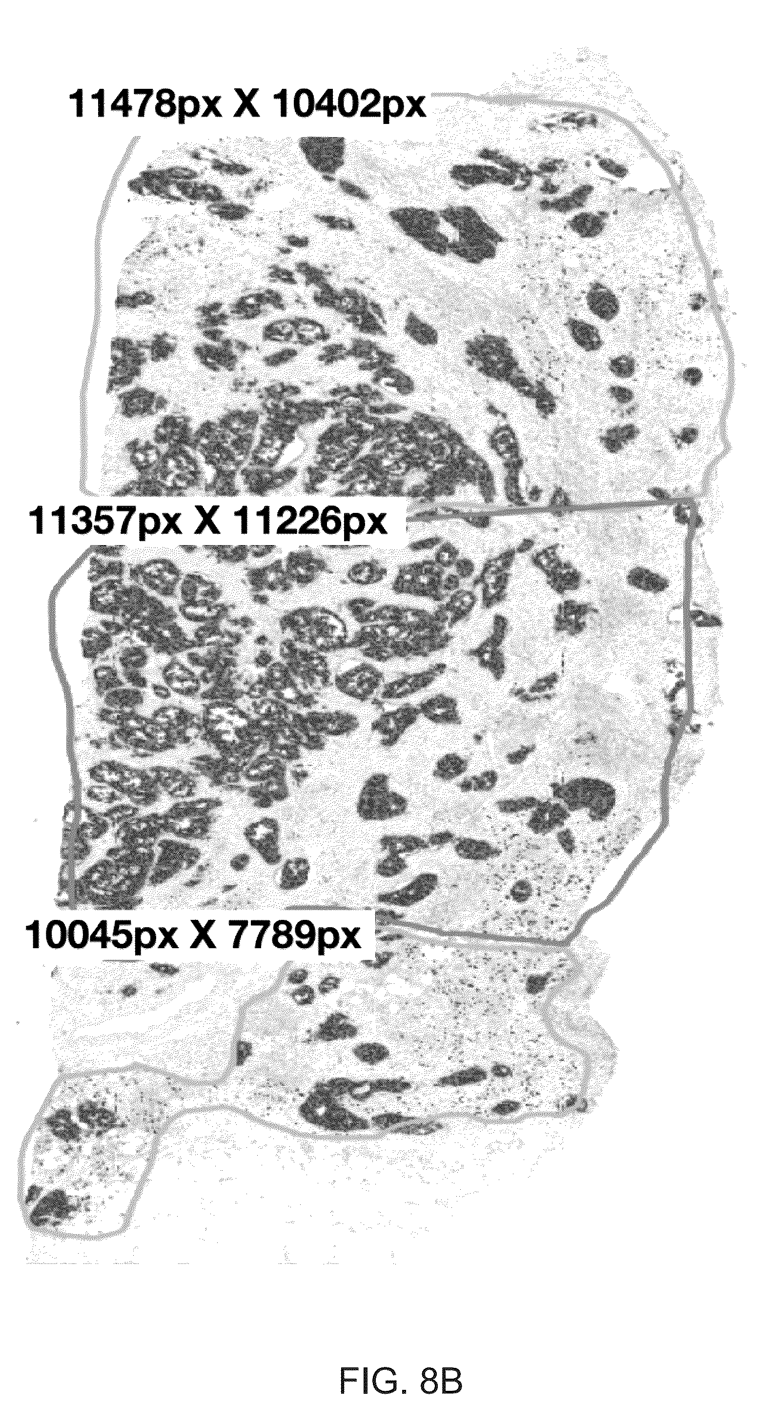 Patent US12367692 Figure 10 – Systems for automated in situ hybridization analysis