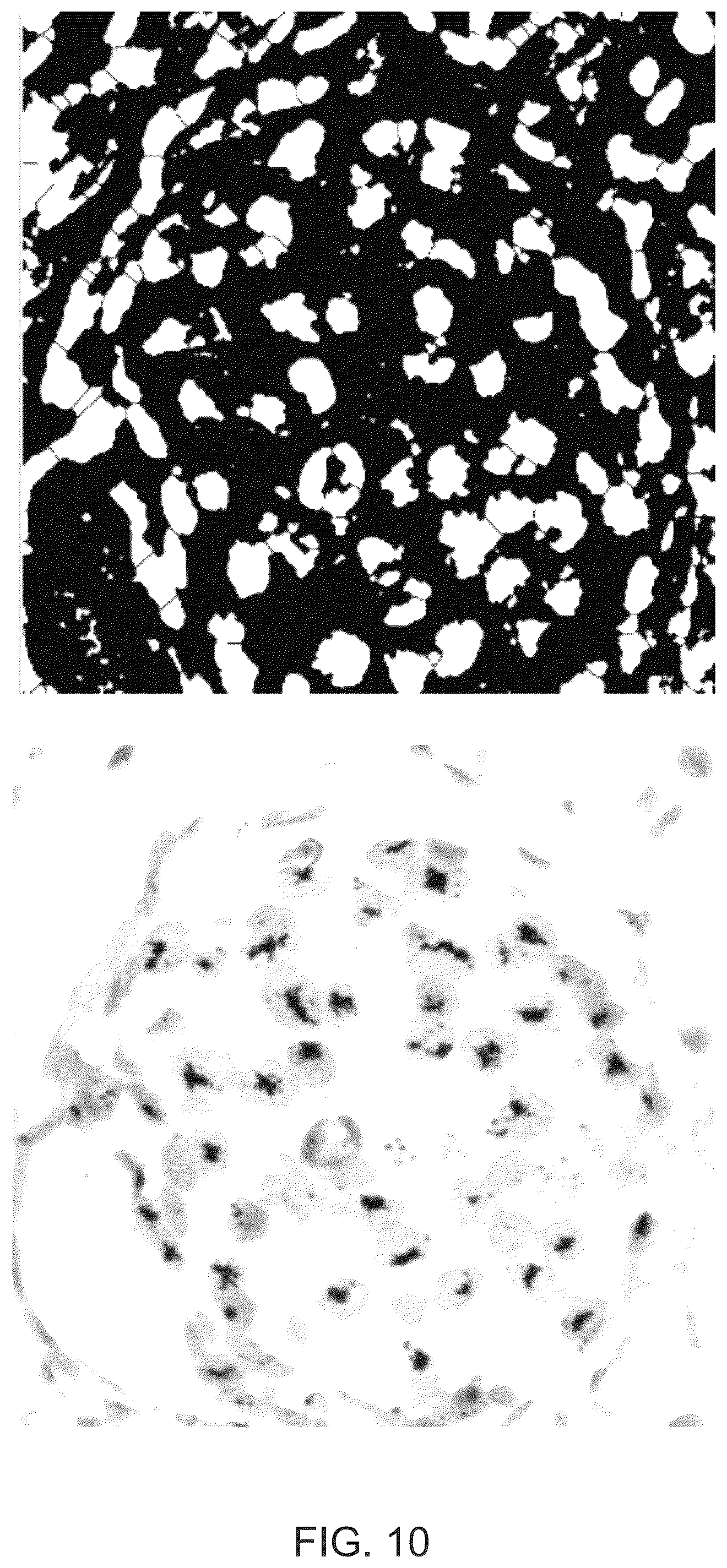 Patent US12367692 Figure 12 – Systems for automated in situ hybridization analysis