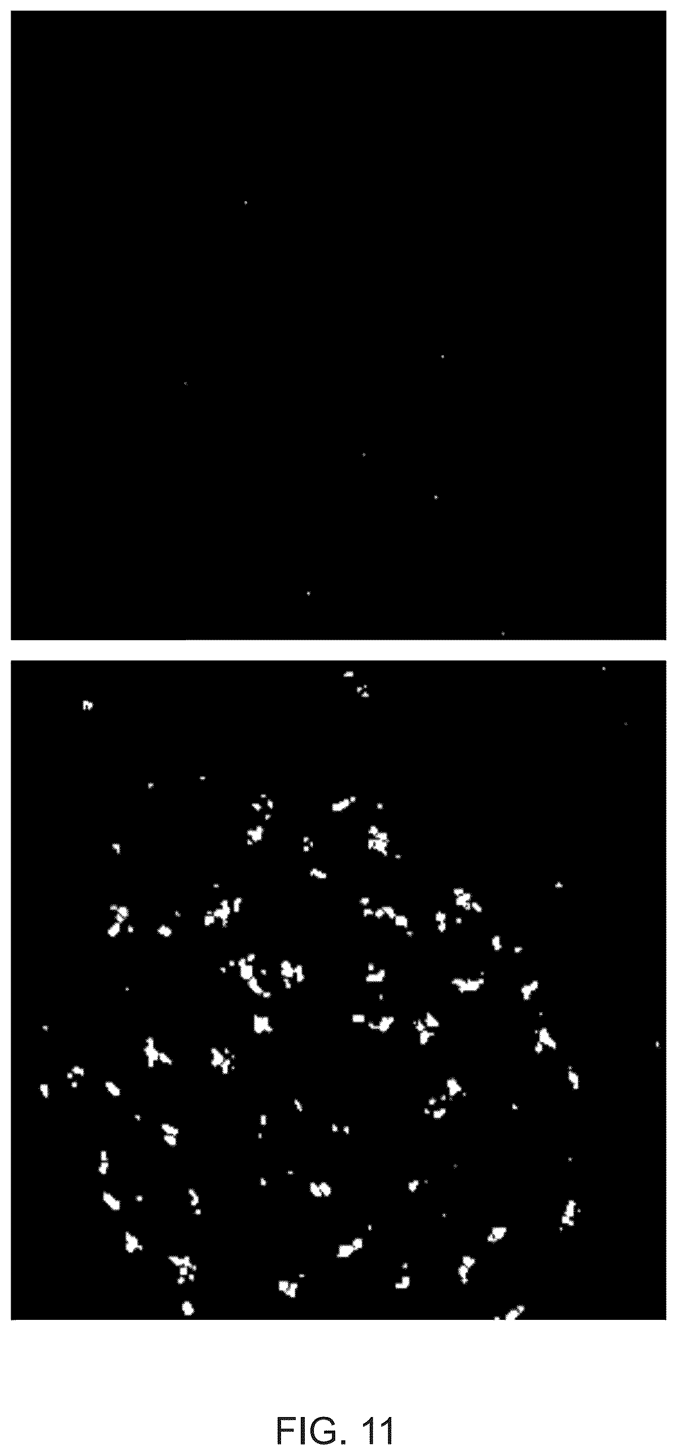 Patent US12367692 Figure 13 – Systems for automated in situ hybridization analysis