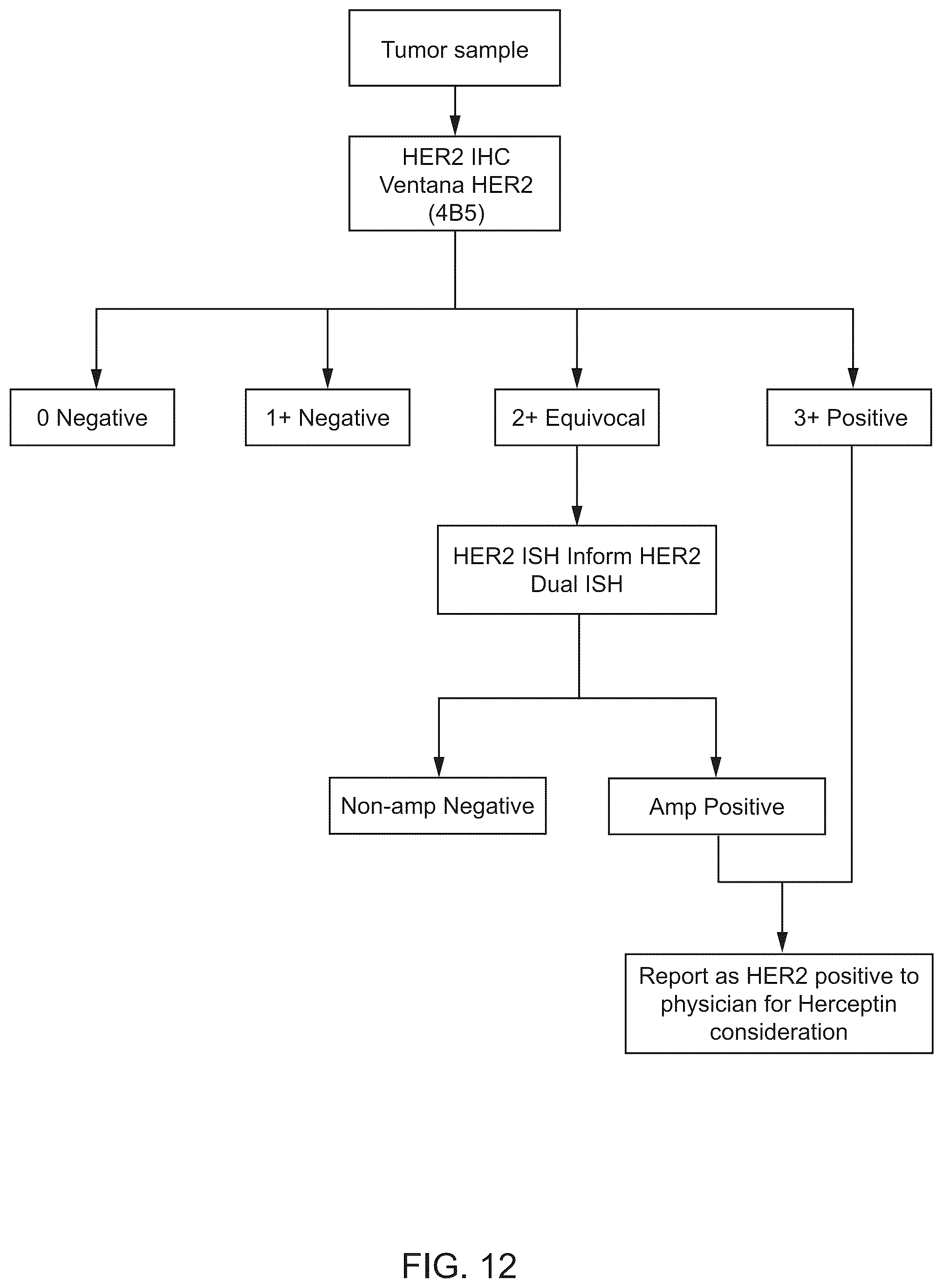 Patent US12367692 Figure 14 – Systems for automated in situ hybridization analysis