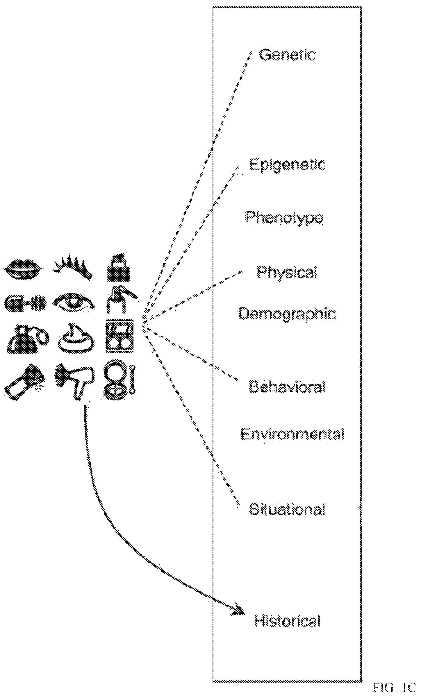 Patent US12367946 Figure 2 – Personalized health or beauty system