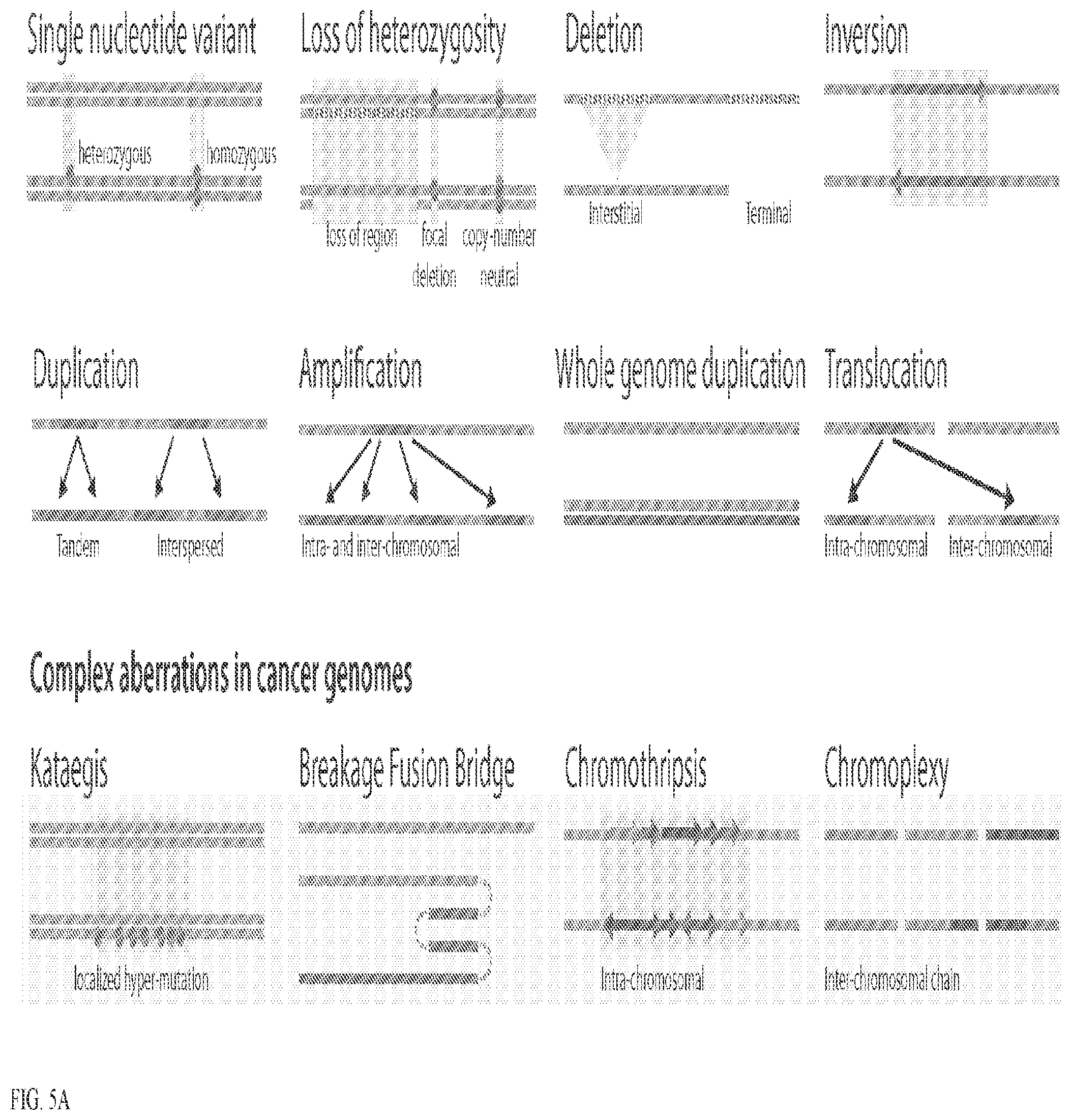 Patent US12367946 Figure 6 – Personalized health or beauty system