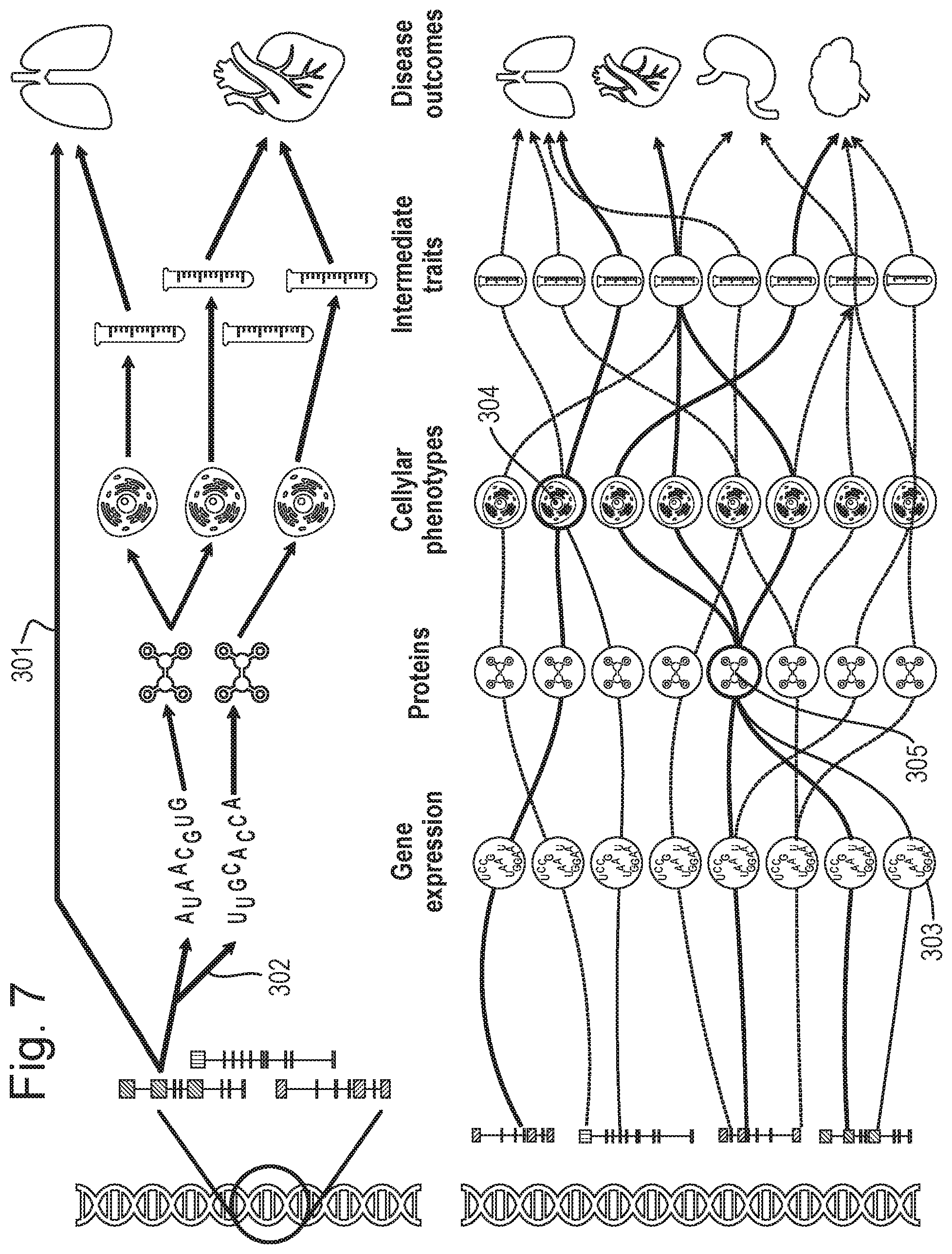Patent US12367948 Figure 5 – Computer-implemented method of analysing genetic data about an organism