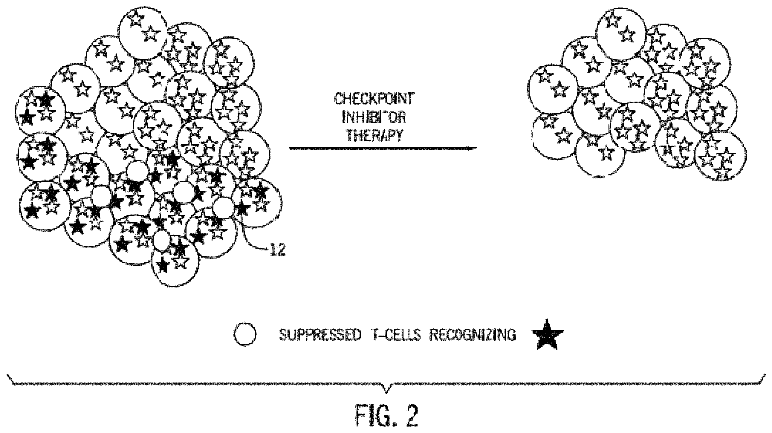 Patent US12367978 Figure 2 – Methods and systems for determining somatic mutation clonality
