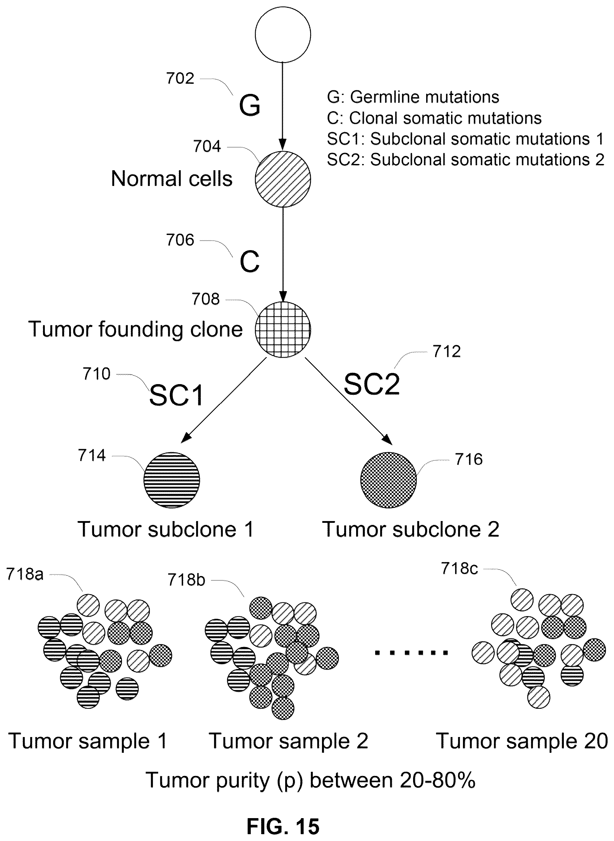 Patent US12367978 Figure 15 – Methods and systems for determining somatic mutation clonality