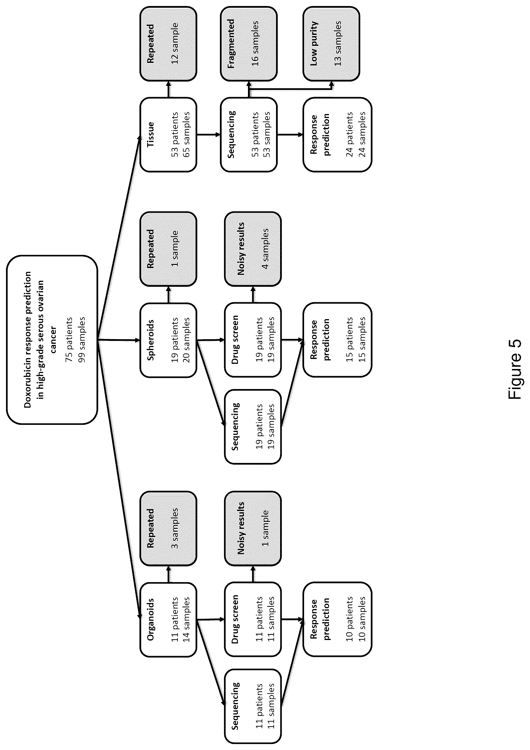 Patent US12367980 Figure 5 – Methods for predicting treatment response in cancers
