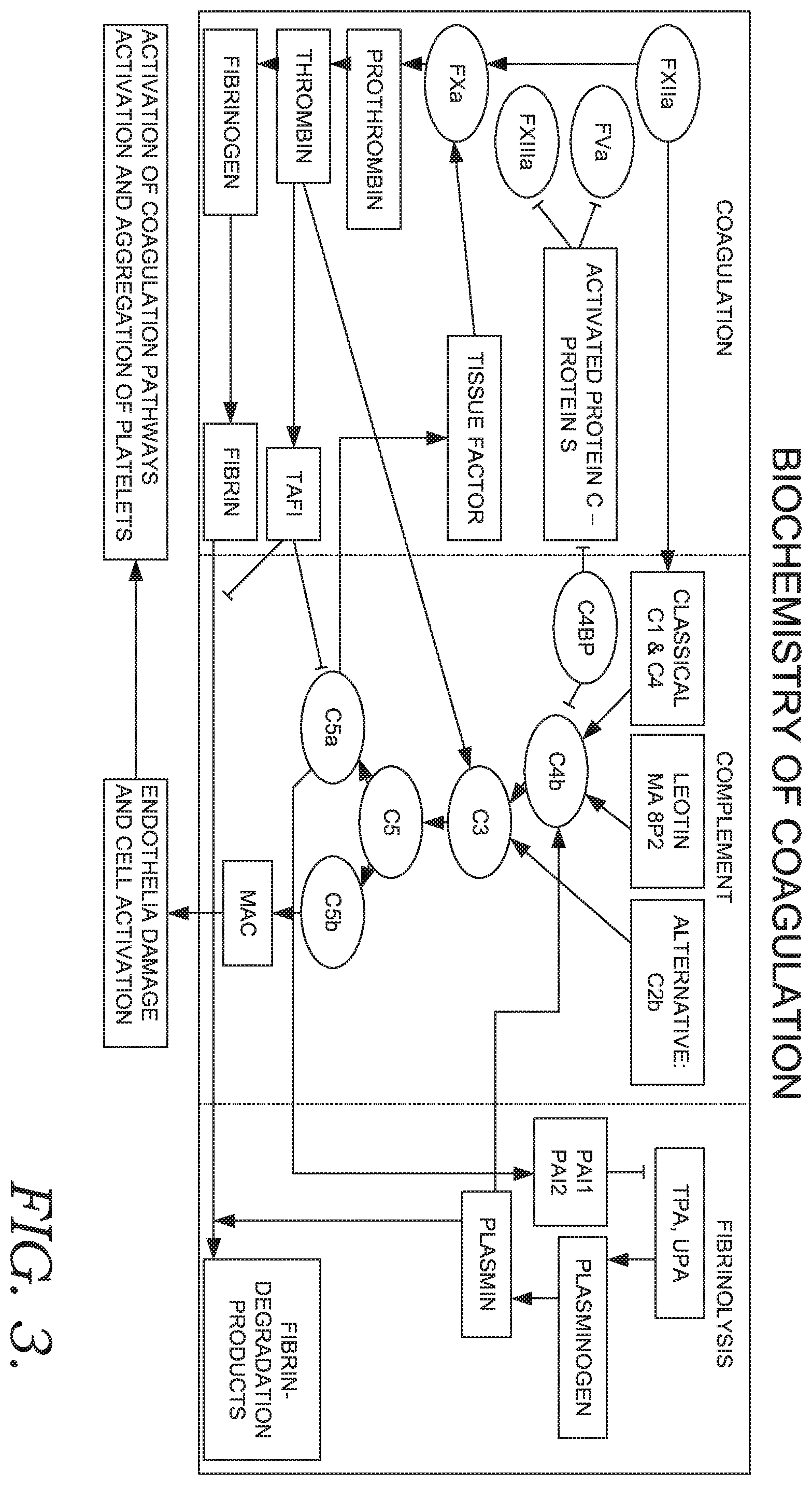 Patent US12367981 Figure 4 – Classifier apparatus with decision support tool