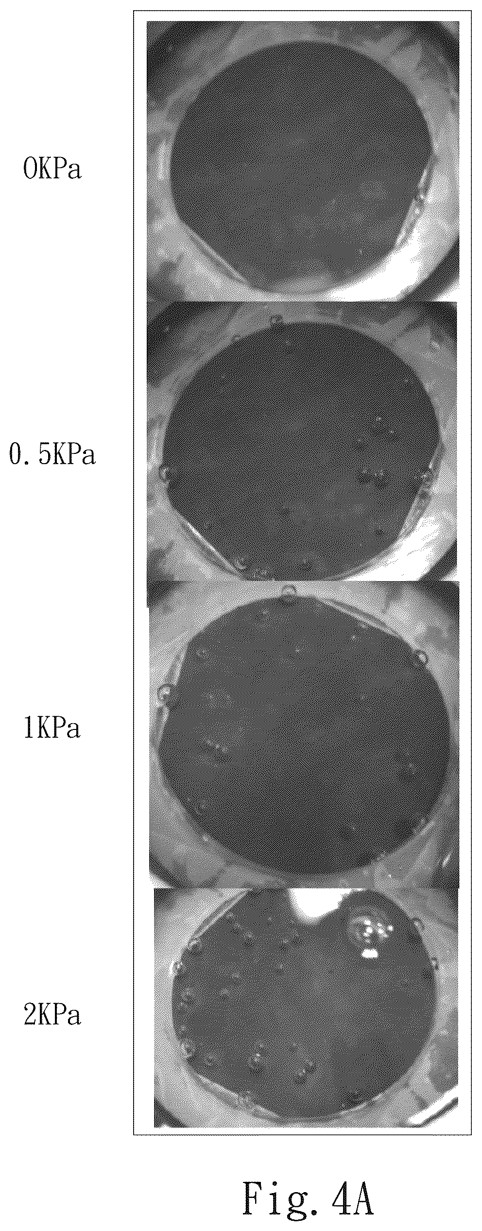 Patent US12367990 Figure 4 – Method of producing a vapor-permeable and liquid-impermeable porous structure electrode
