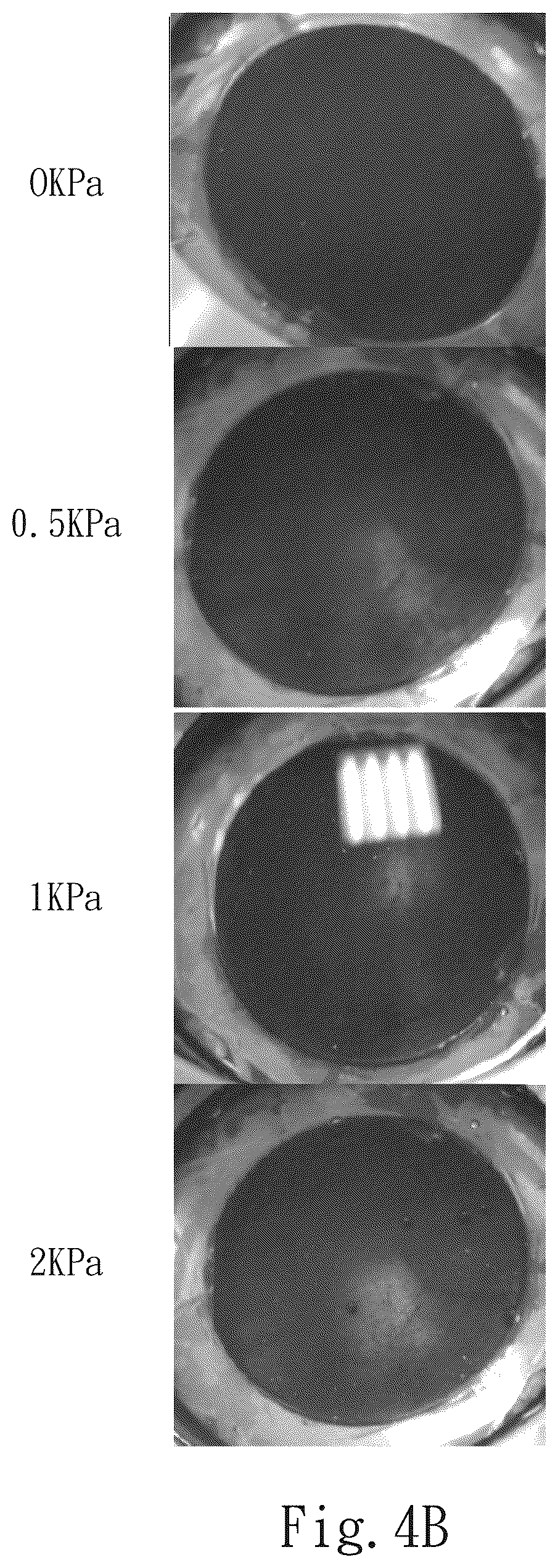 Patent US12367990 Figure 5 – Method of producing a vapor-permeable and liquid-impermeable porous structure electrode
