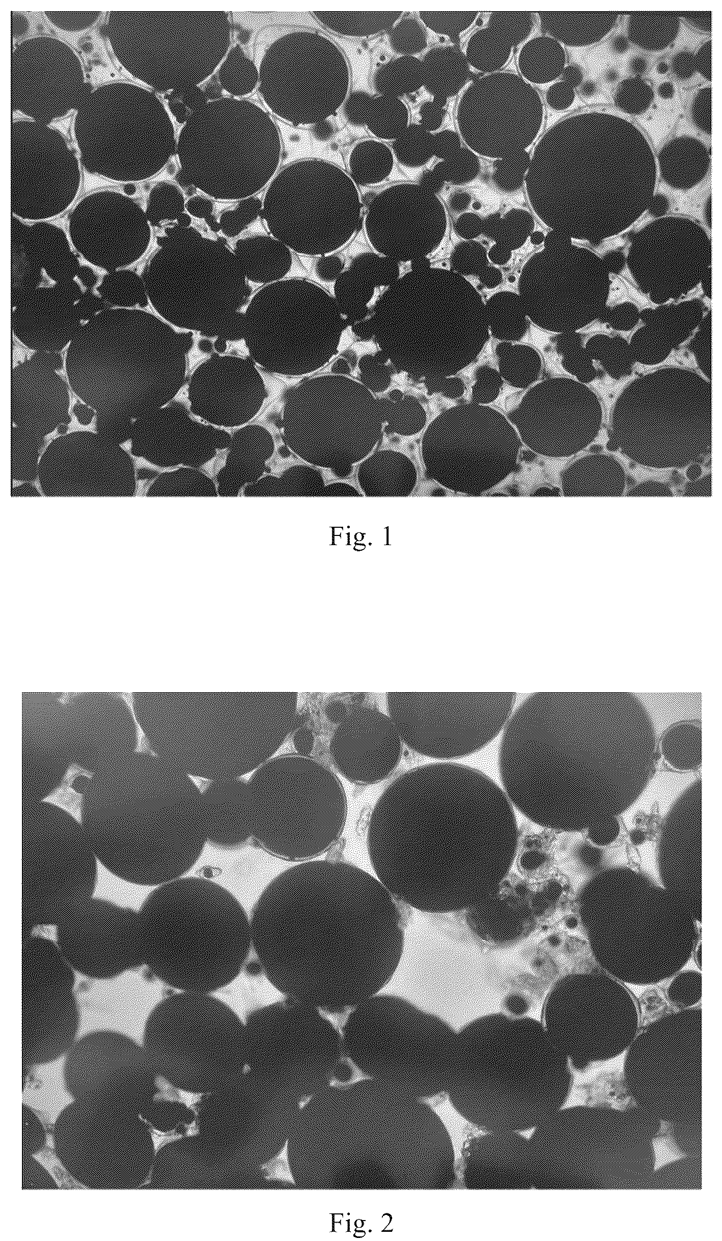 Patent US12367994 Figure 1 – Magnetic microcapsule, preparation method thereof, and magnetic film