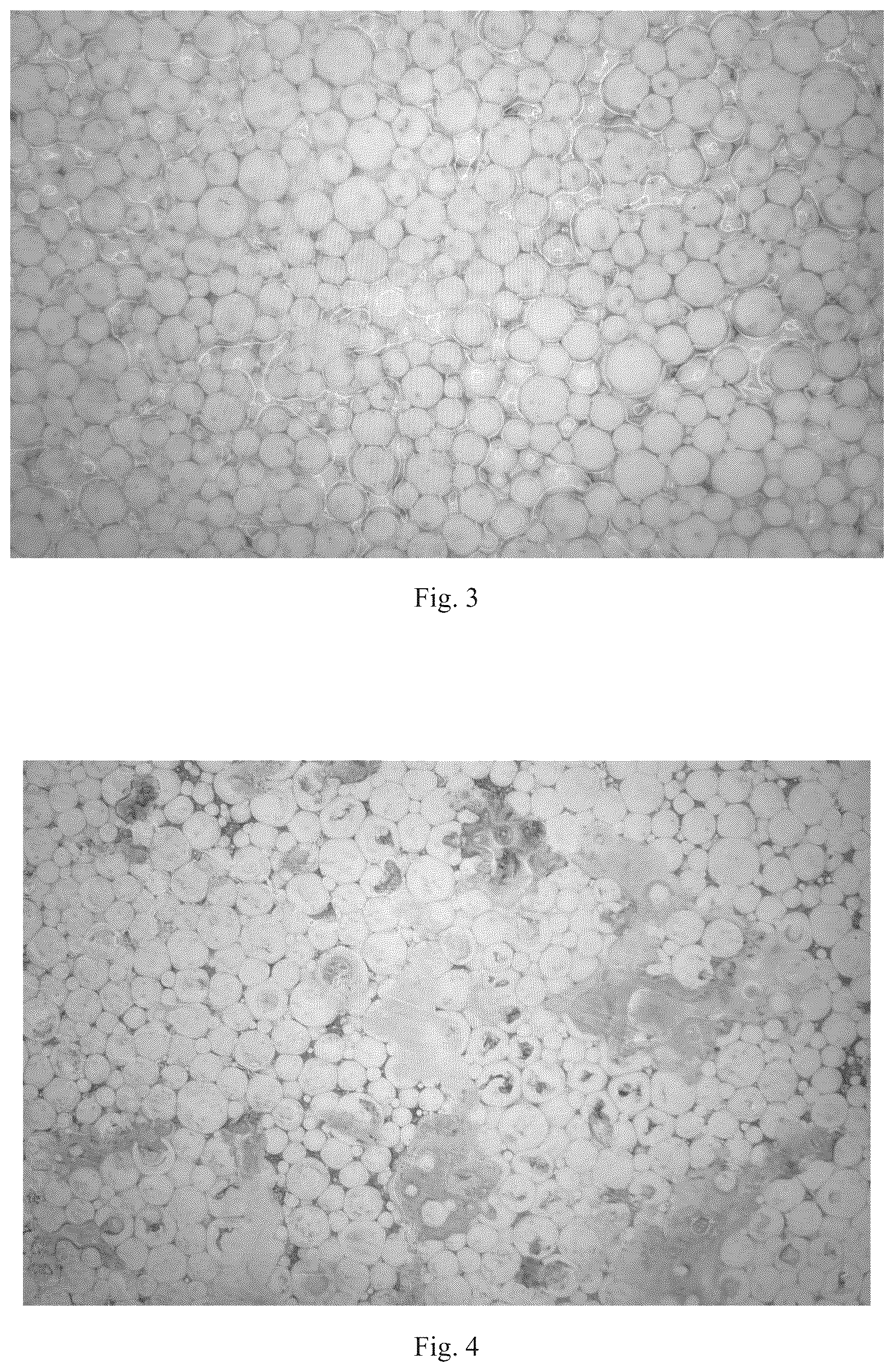 Patent US12367994 Figure 2 – Magnetic microcapsule, preparation method thereof, and magnetic film
