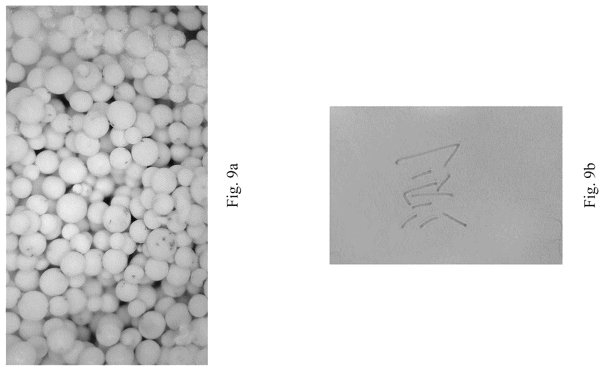 Patent US12367994 Figure 5 – Magnetic microcapsule, preparation method thereof, and magnetic film