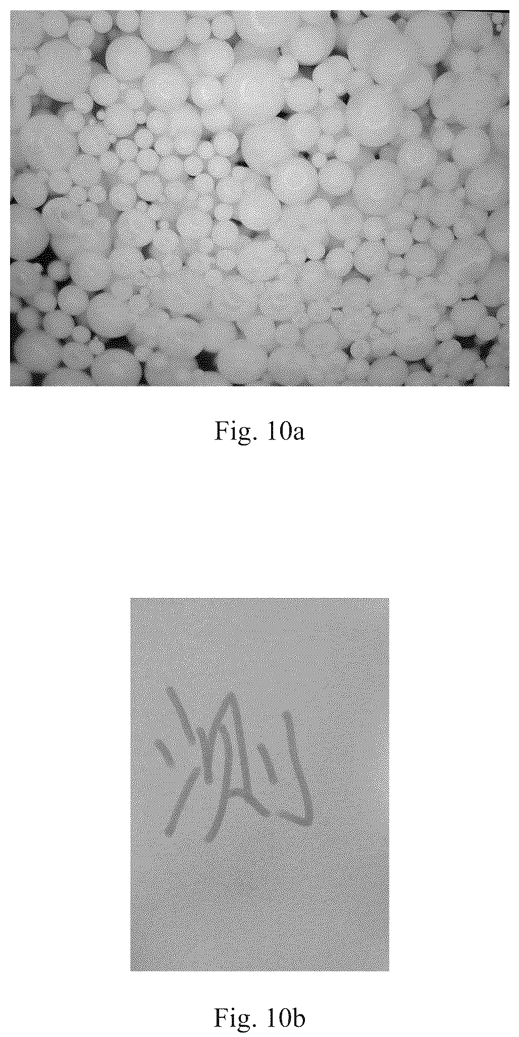 Patent US12367994 Figure 6 – Magnetic microcapsule, preparation method thereof, and magnetic film