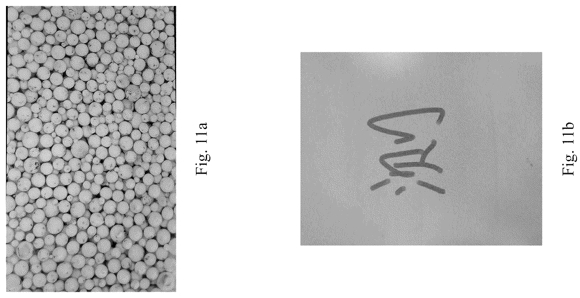 Patent US12367994 Figure 7 – Magnetic microcapsule, preparation method thereof, and magnetic film