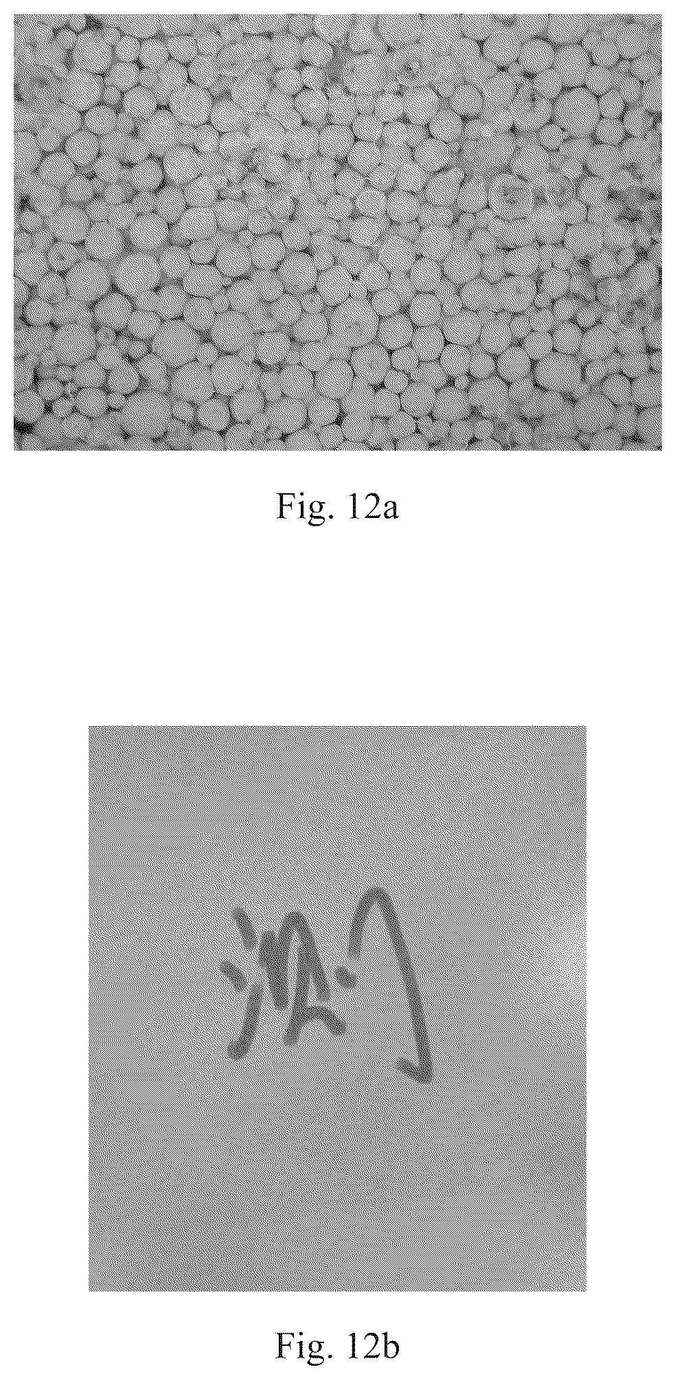 Patent US12367994 Figure 8 – Magnetic microcapsule, preparation method thereof, and magnetic film