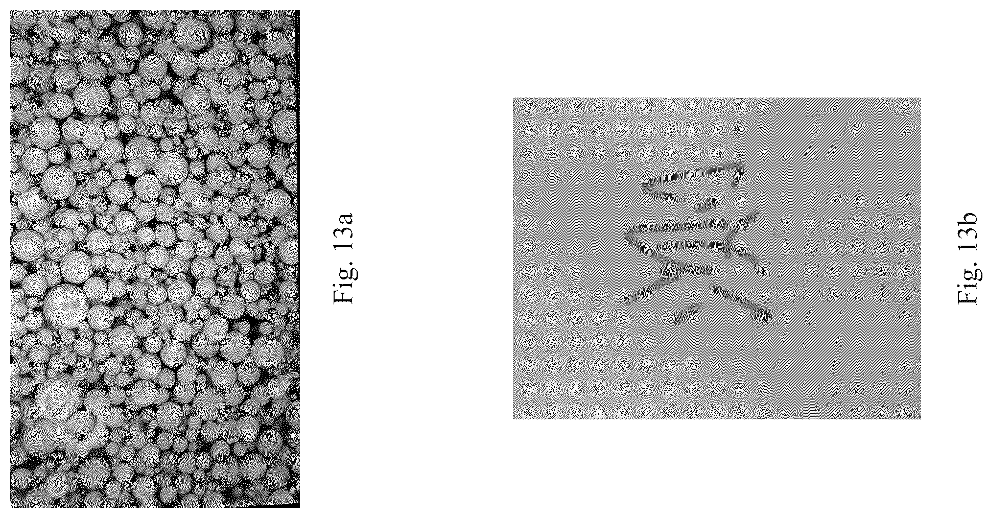 Patent US12367994 Figure 9 – Magnetic microcapsule, preparation method thereof, and magnetic film