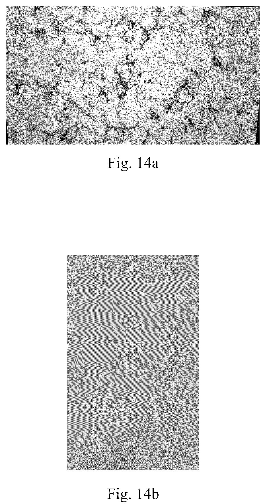 Patent US12367994 Figure 10 – Magnetic microcapsule, preparation method thereof, and magnetic film