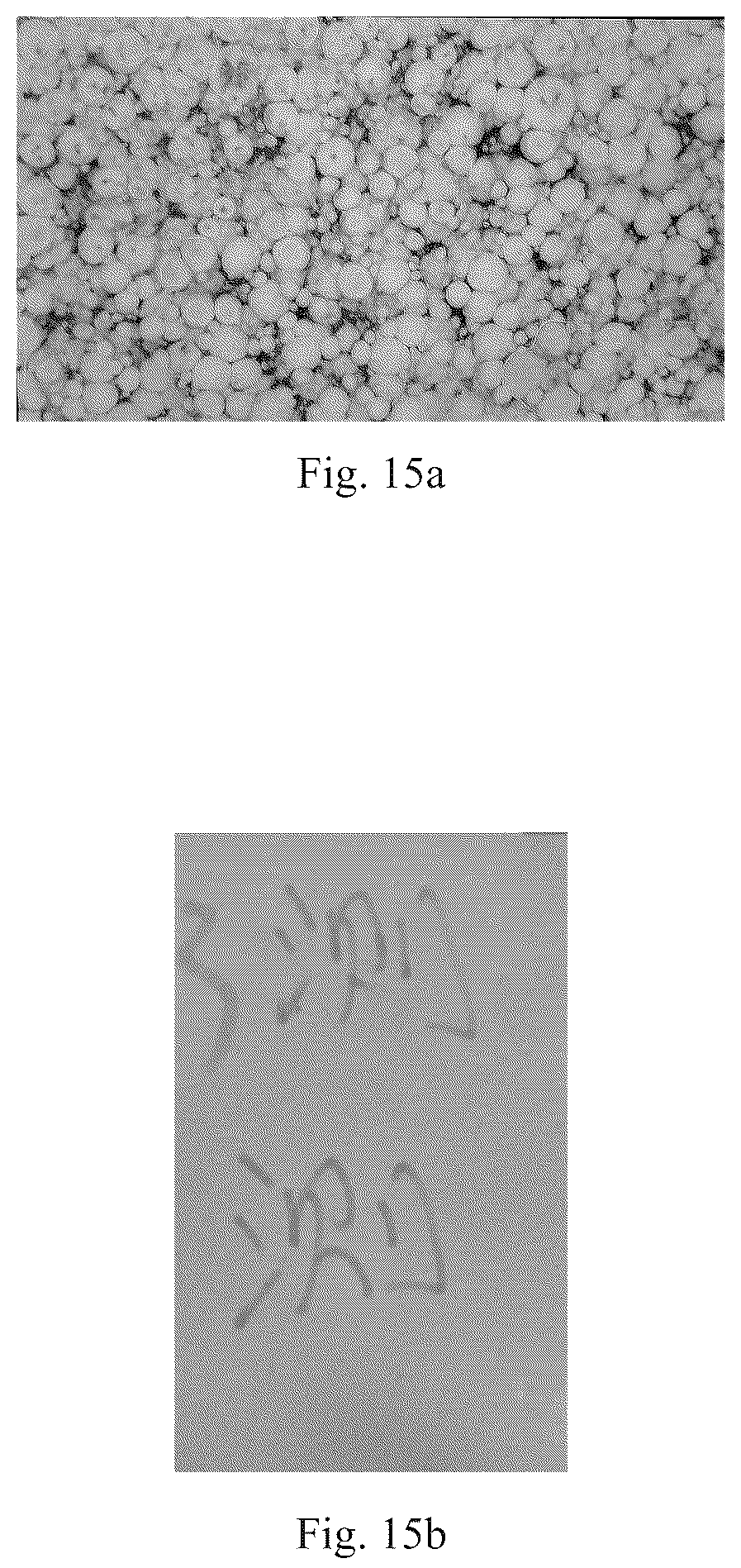 Patent US12367994 Figure 11 – Magnetic microcapsule, preparation method thereof, and magnetic film