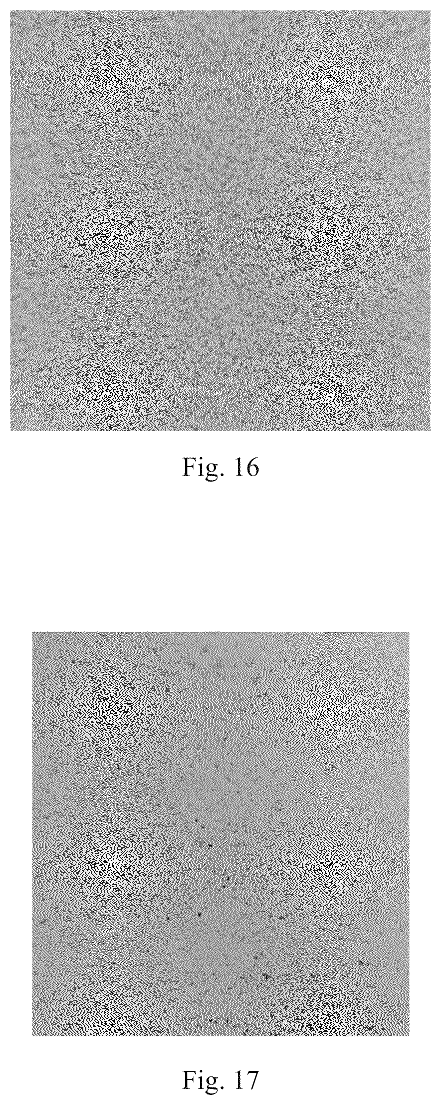 Patent US12367994 Figure 12 – Magnetic microcapsule, preparation method thereof, and magnetic film