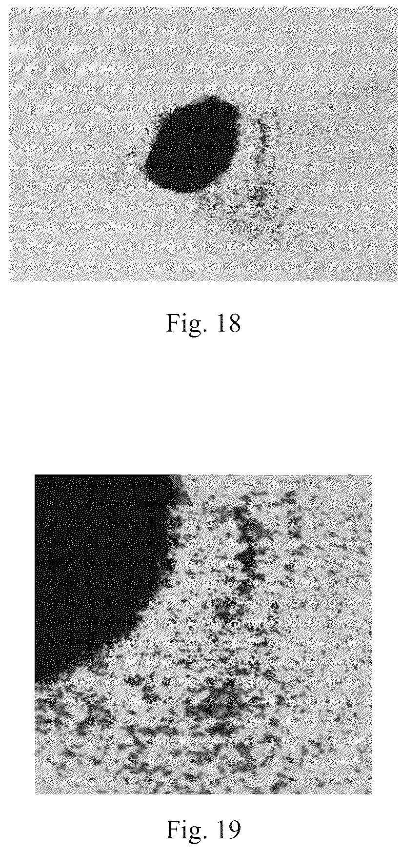 Patent US12367994 Figure 13 – Magnetic microcapsule, preparation method thereof, and magnetic film