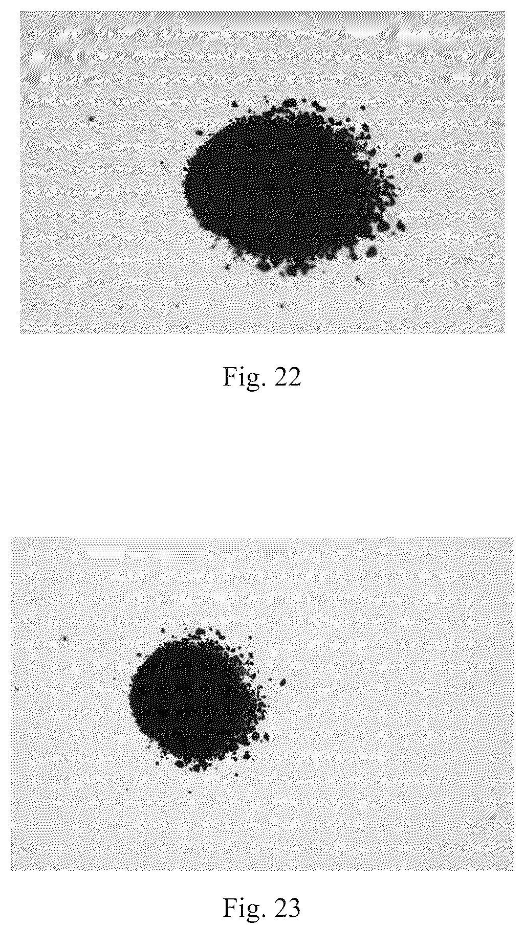 Patent US12367994 Figure 15 – Magnetic microcapsule, preparation method thereof, and magnetic film
