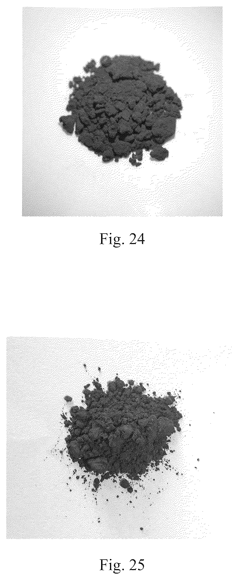 Patent US12367994 Figure 16 – Magnetic microcapsule, preparation method thereof, and magnetic film