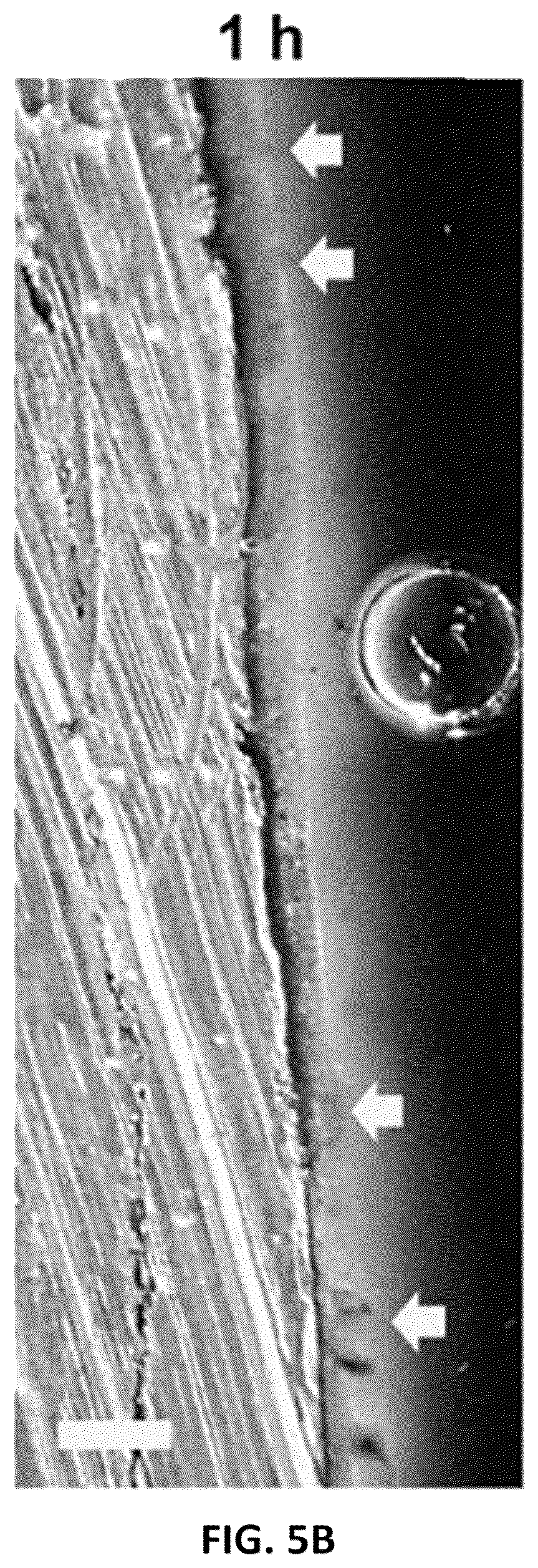Patent US12368190 Figure 20 – Systems and methods of detecting Li dendrites