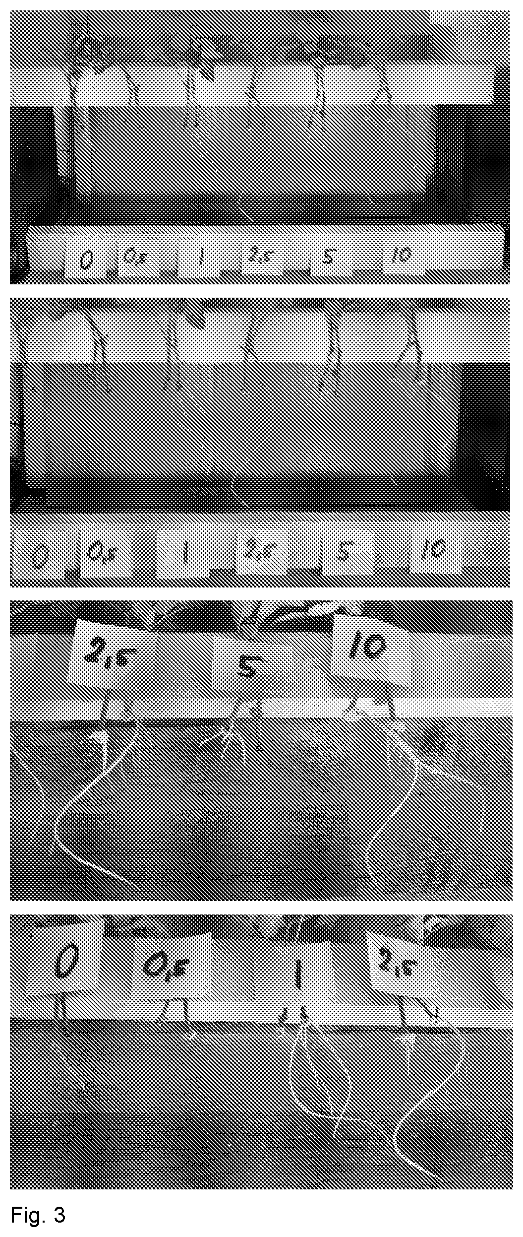 Patent US12376530 Figure 3 – Method for vegetative propagation of plants