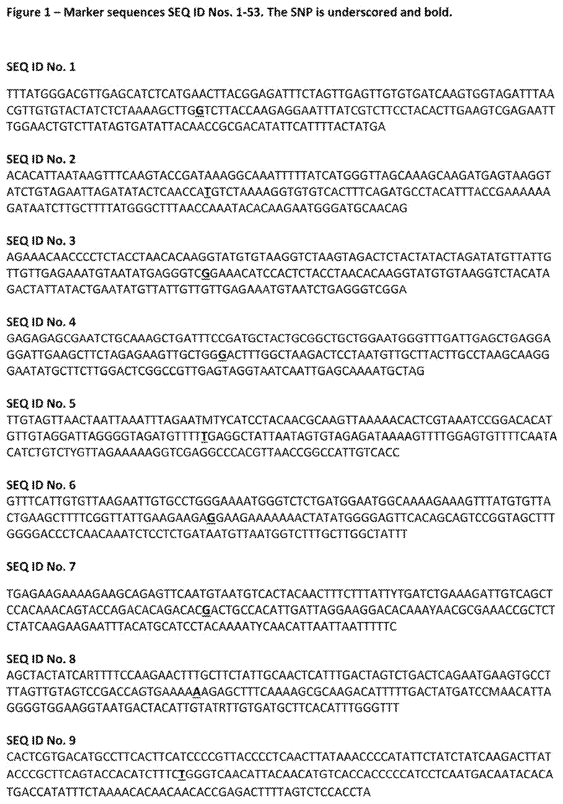 Patent US12376537 Figure 1 – TBRFV resistant tomato plant