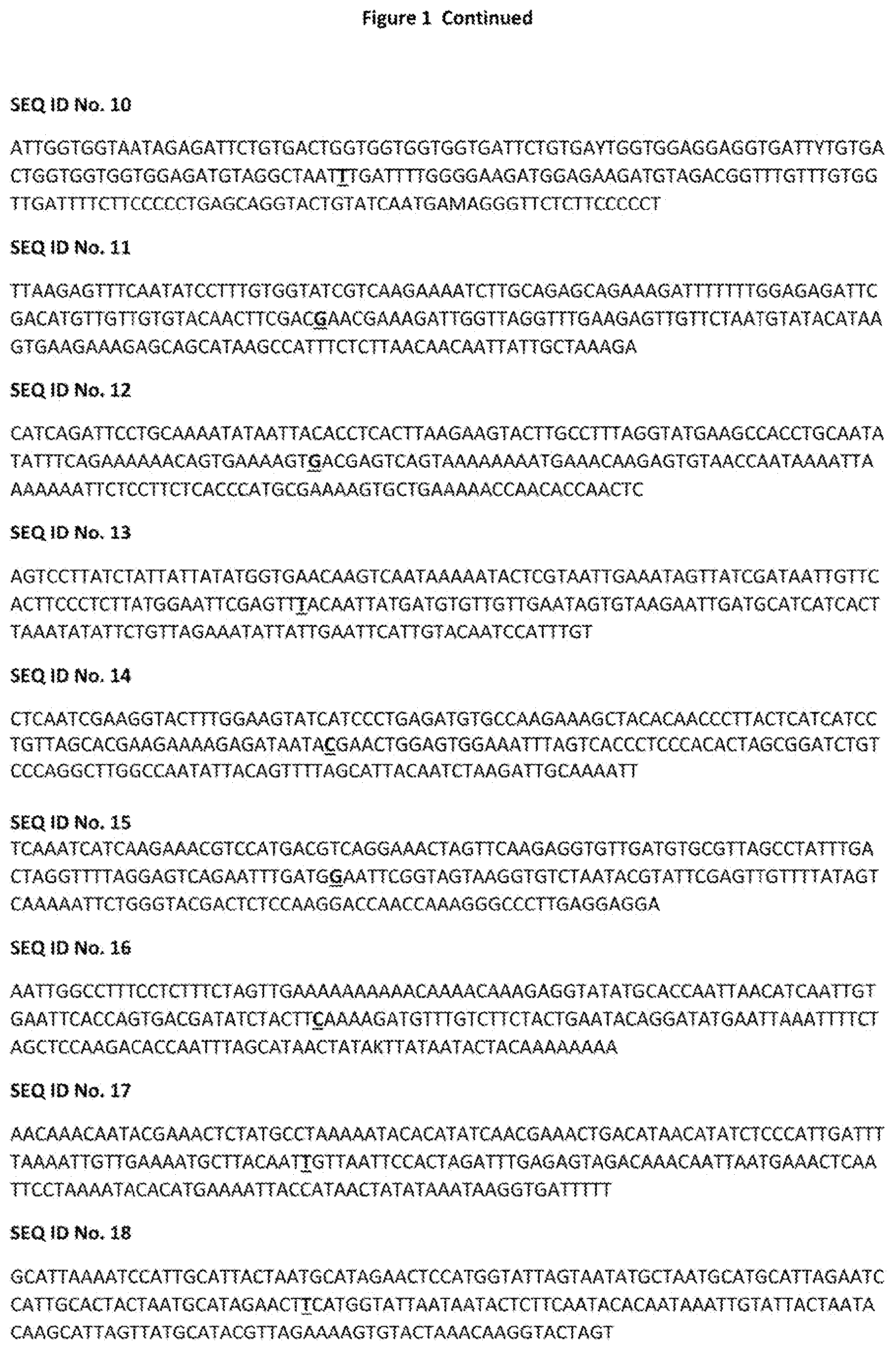 Patent US12376537 Figure 2 – TBRFV resistant tomato plant