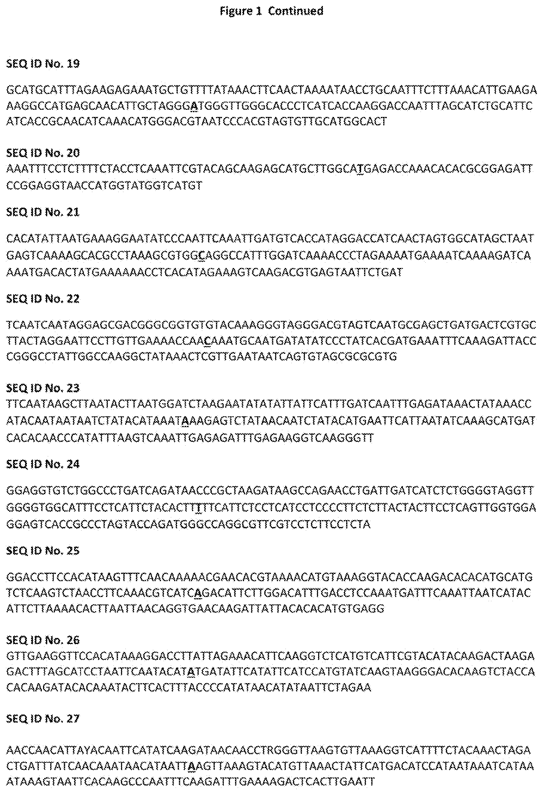 Patent US12376537 Figure 3 – TBRFV resistant tomato plant