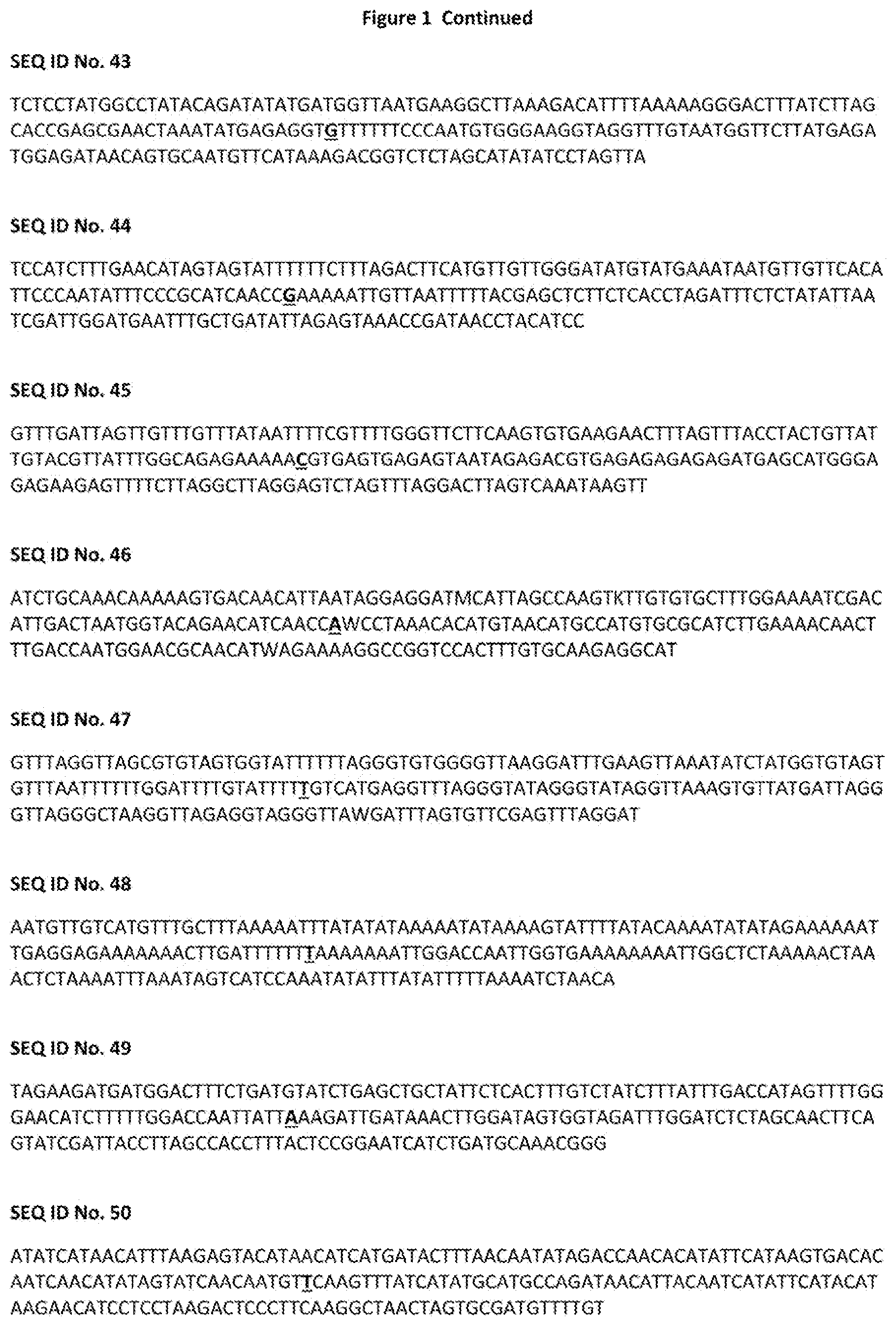 Patent US12376537 Figure 6 – TBRFV resistant tomato plant