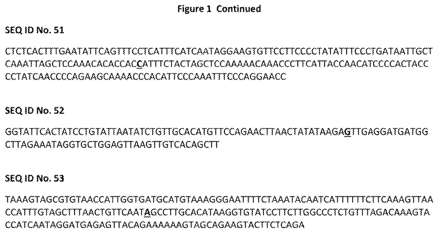 Patent US12376537 Figure 7 – TBRFV resistant tomato plant
