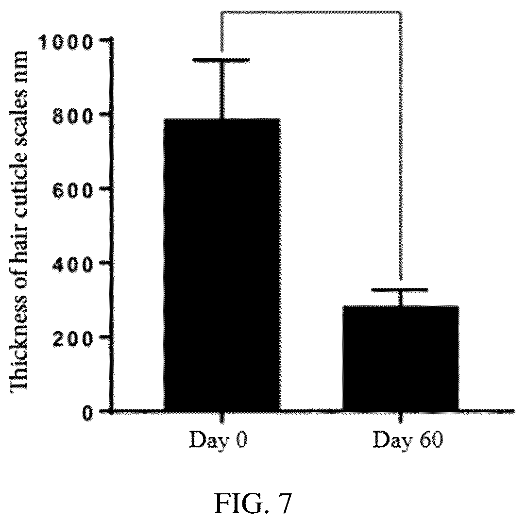 Patent US12376567 Figure 4 – Functional animal chew
