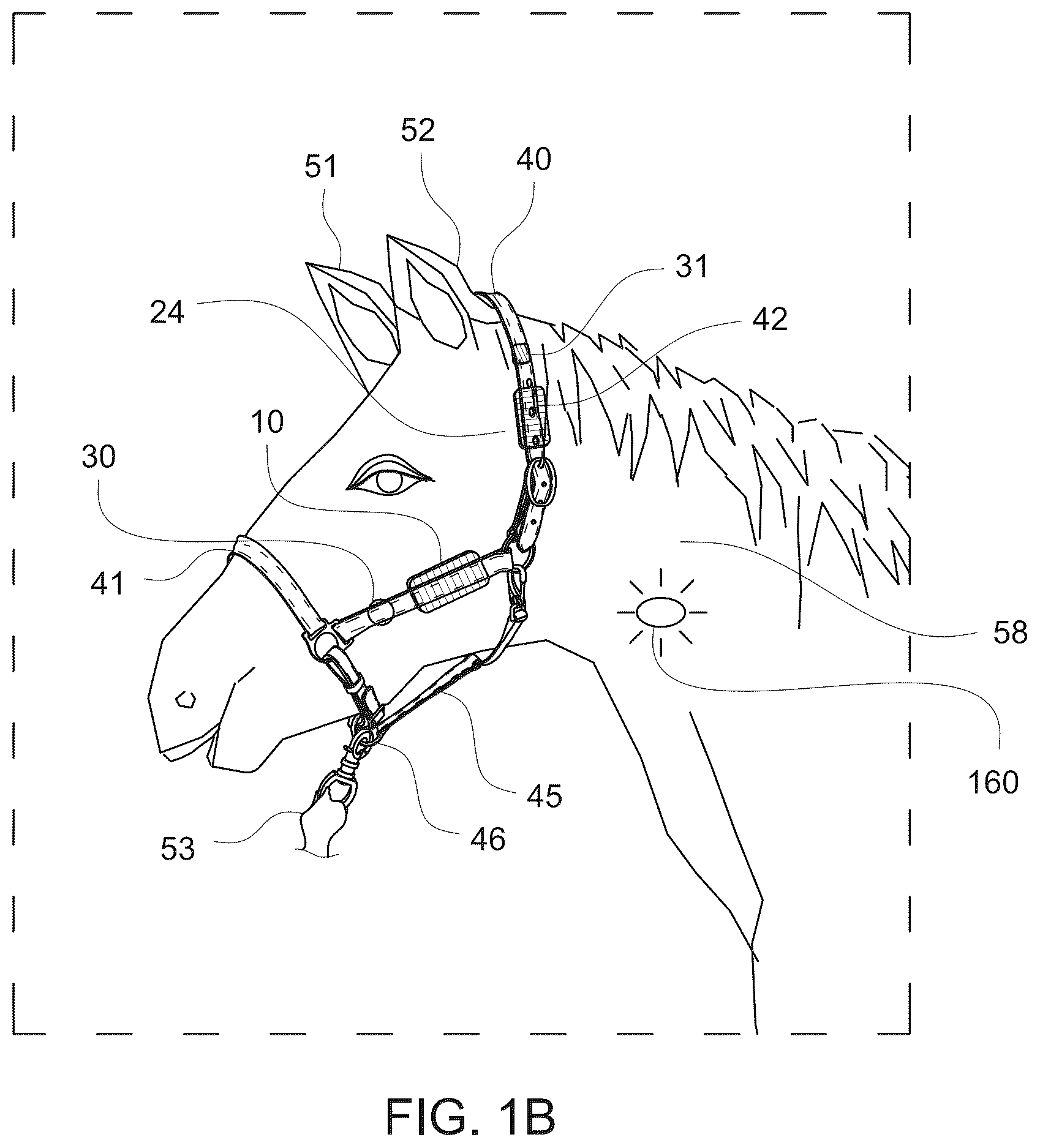 Patent US12376570 Figure 2 – Animal health and safety system and method