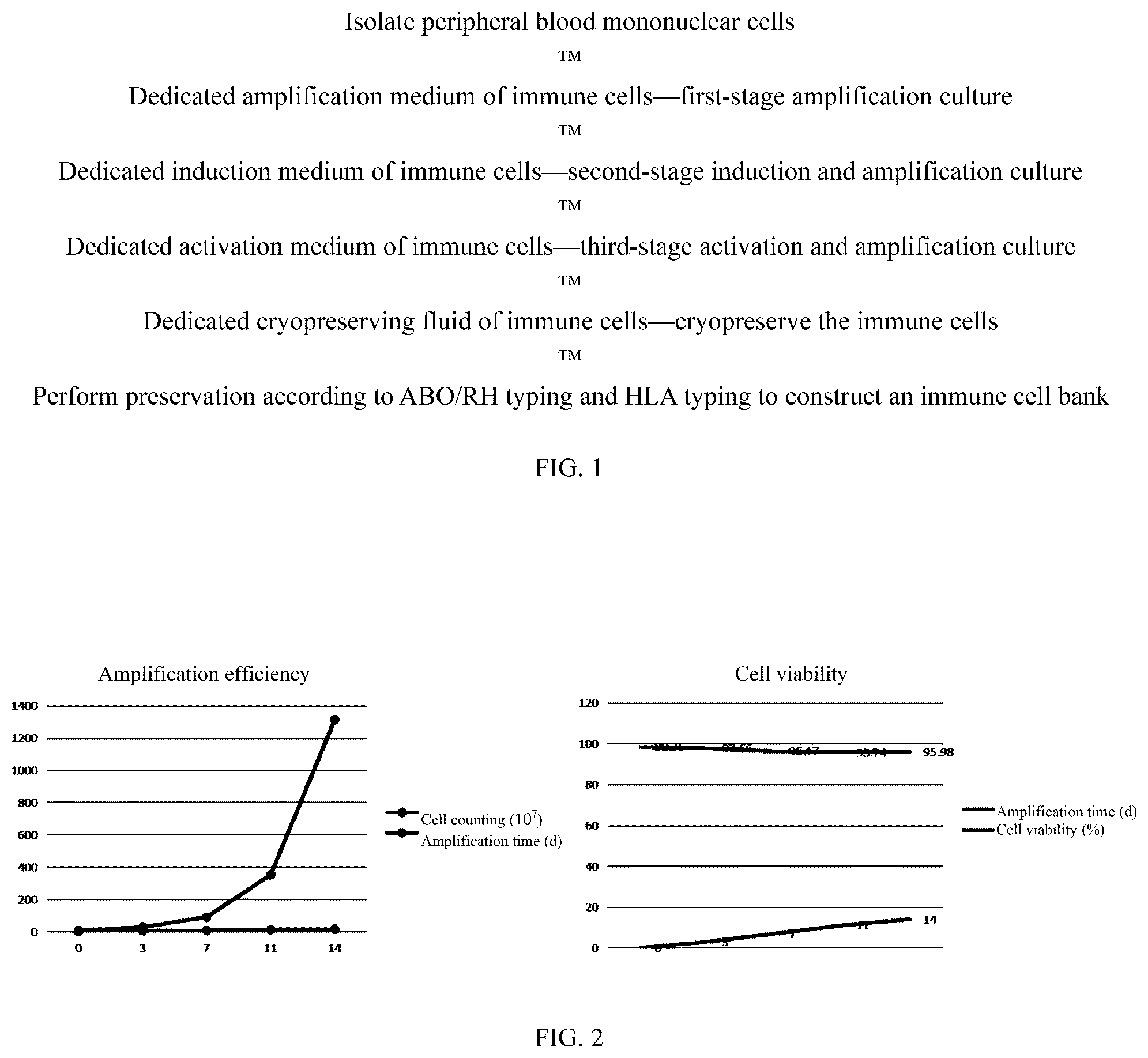 Patent US12376584 Figure 1 – In-vitro culture, induction, activation and cryopreservation method and cell bank establishment for immune cells