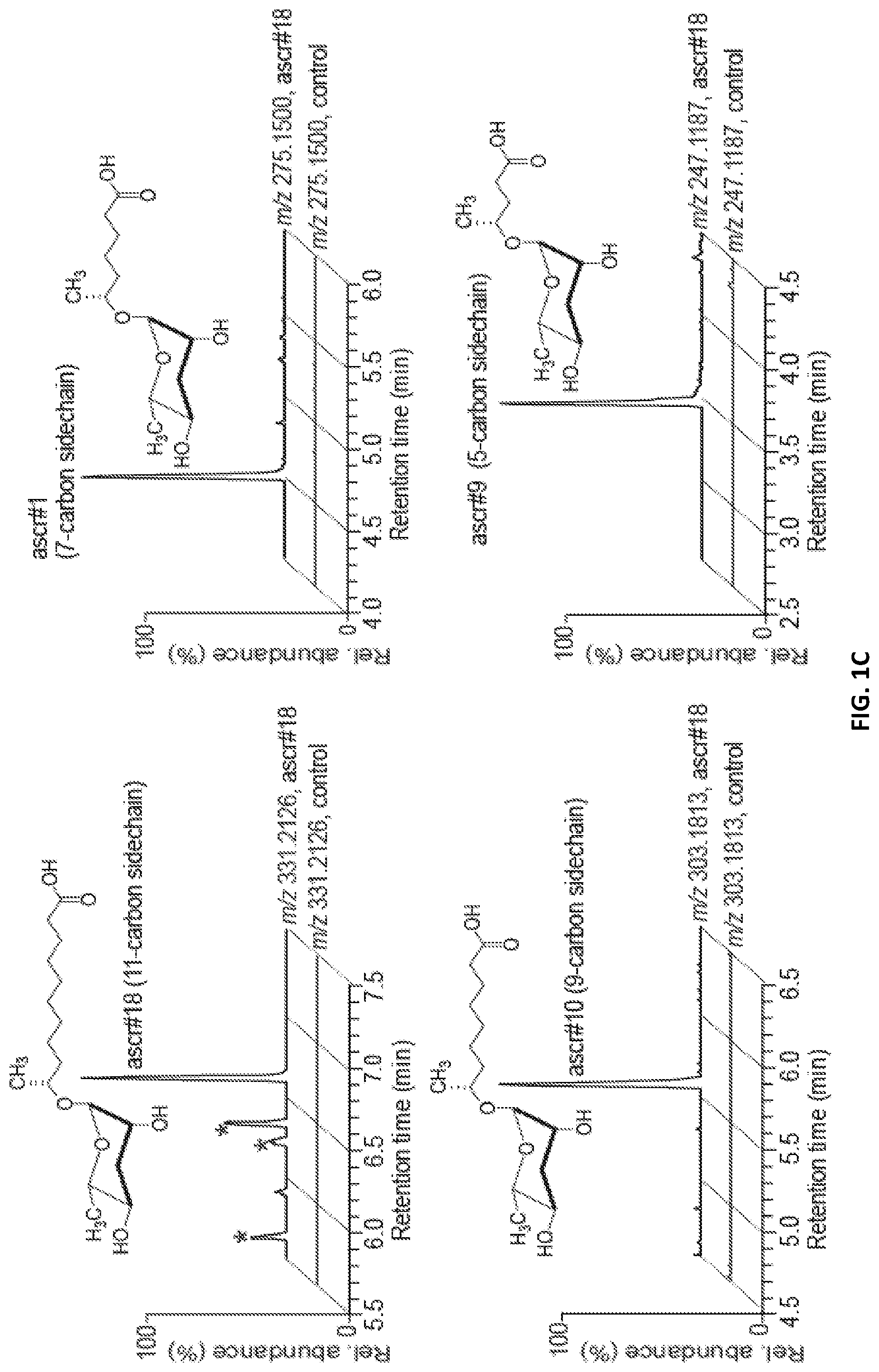 Patent US12376588 Figure 2 – Compositions and methods for modulating immunity in plants