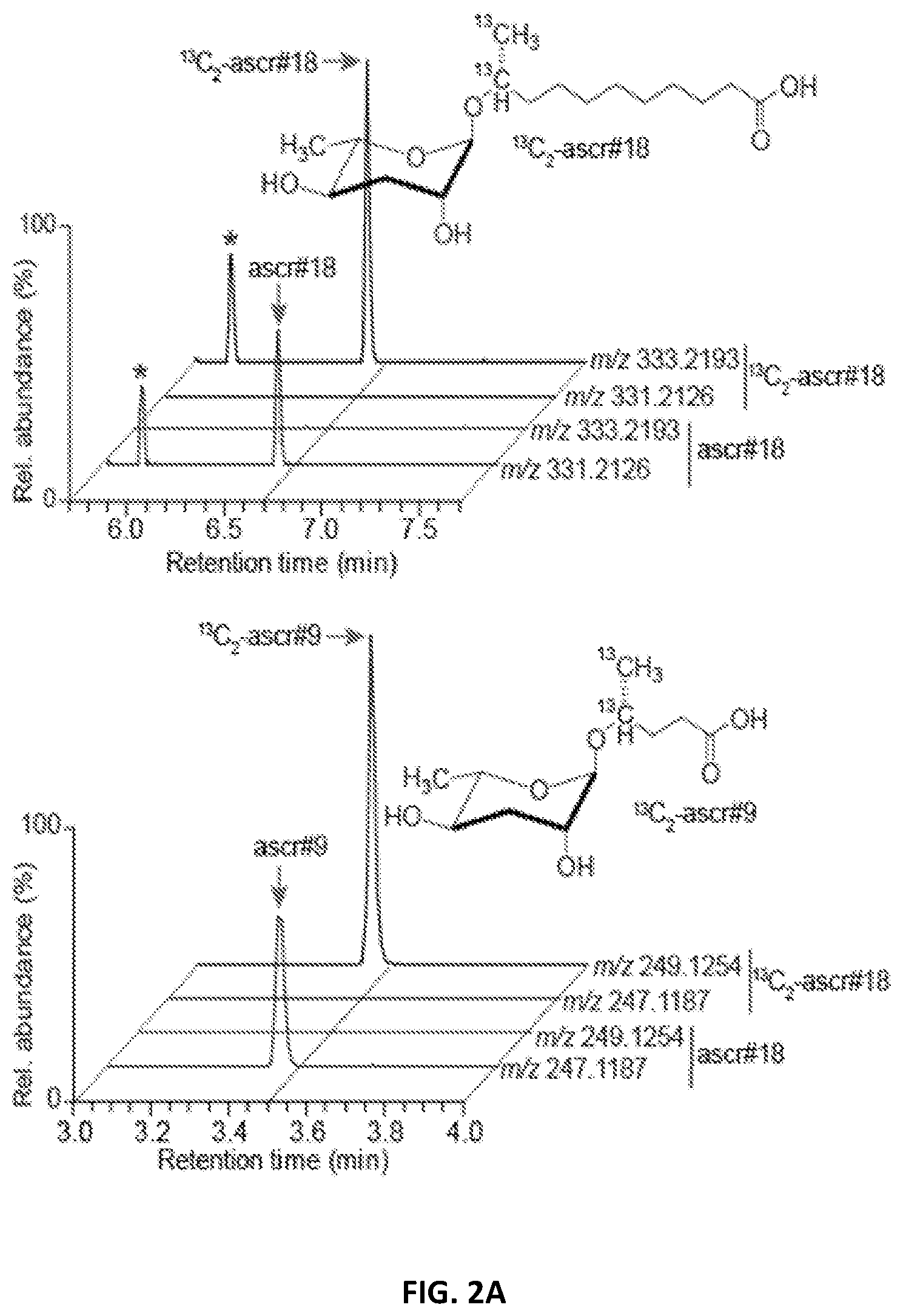 Patent US12376588 Figure 5 – Compositions and methods for modulating immunity in plants