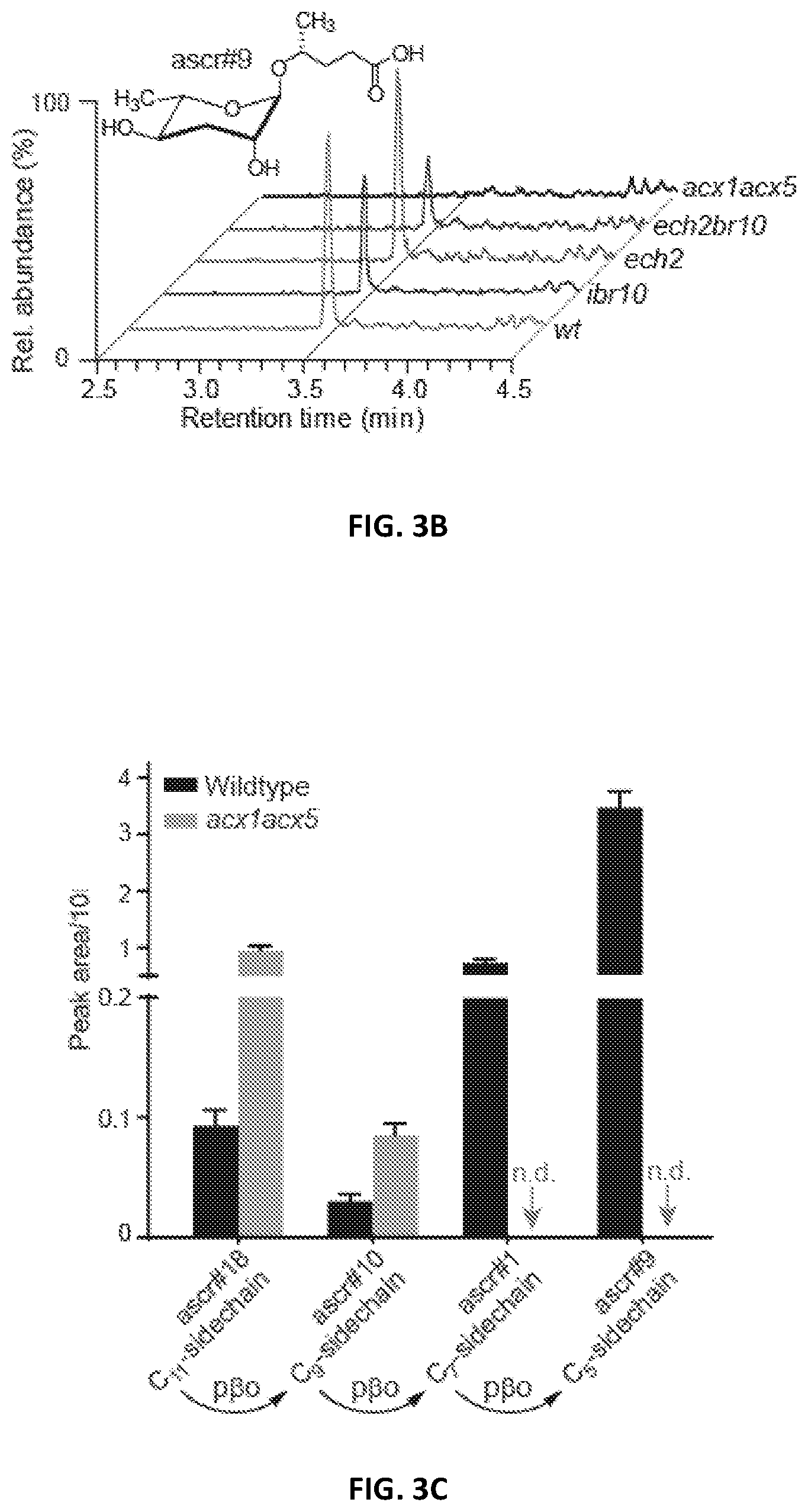 Patent US12376588 Figure 9 – Compositions and methods for modulating immunity in plants