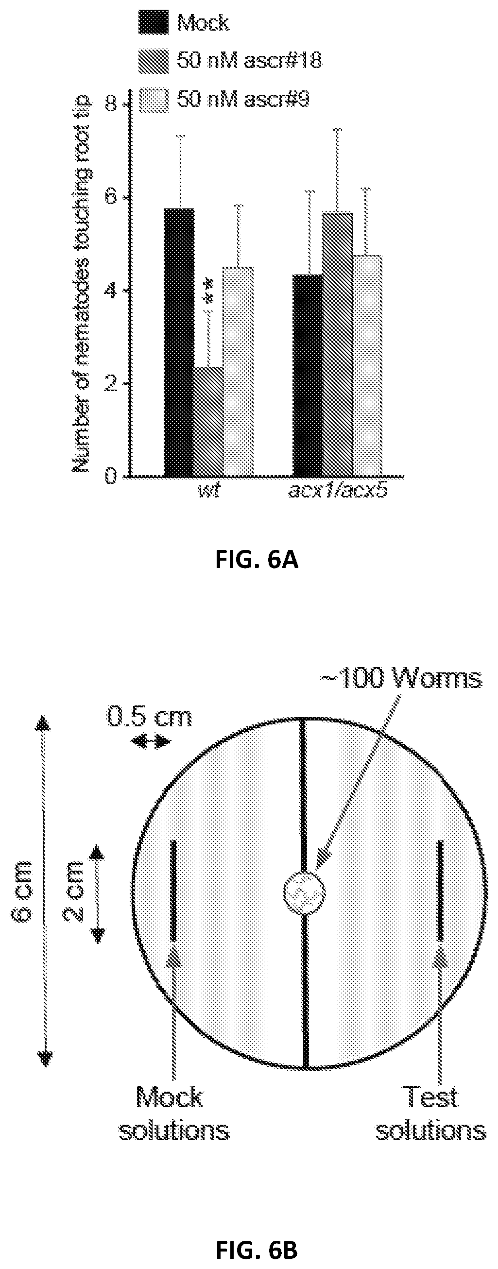 Patent US12376588 Figure 16 – Compositions and methods for modulating immunity in plants