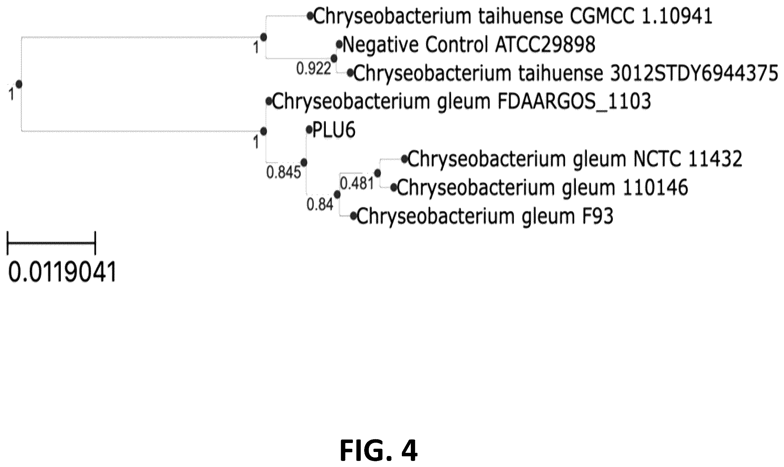 Patent US12376589 Figure 4 – Chryseobacterium insect inhibitory microbial compositions and methods of making and using